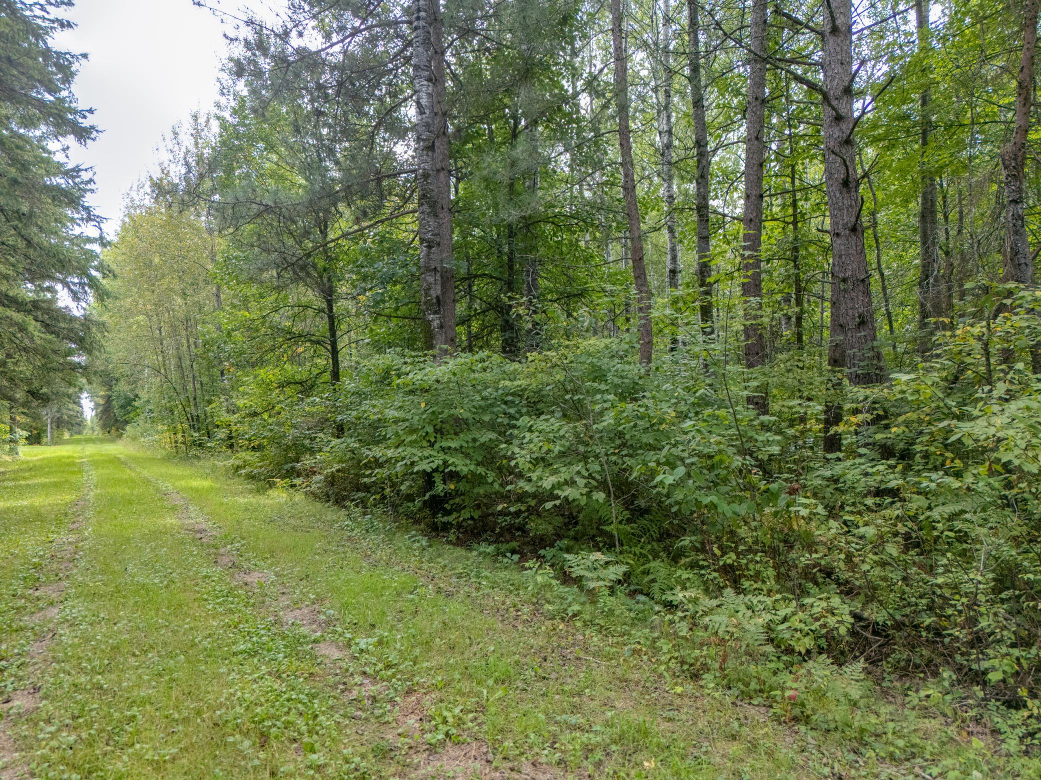 Tbd Town Road #55 Property Photo 2