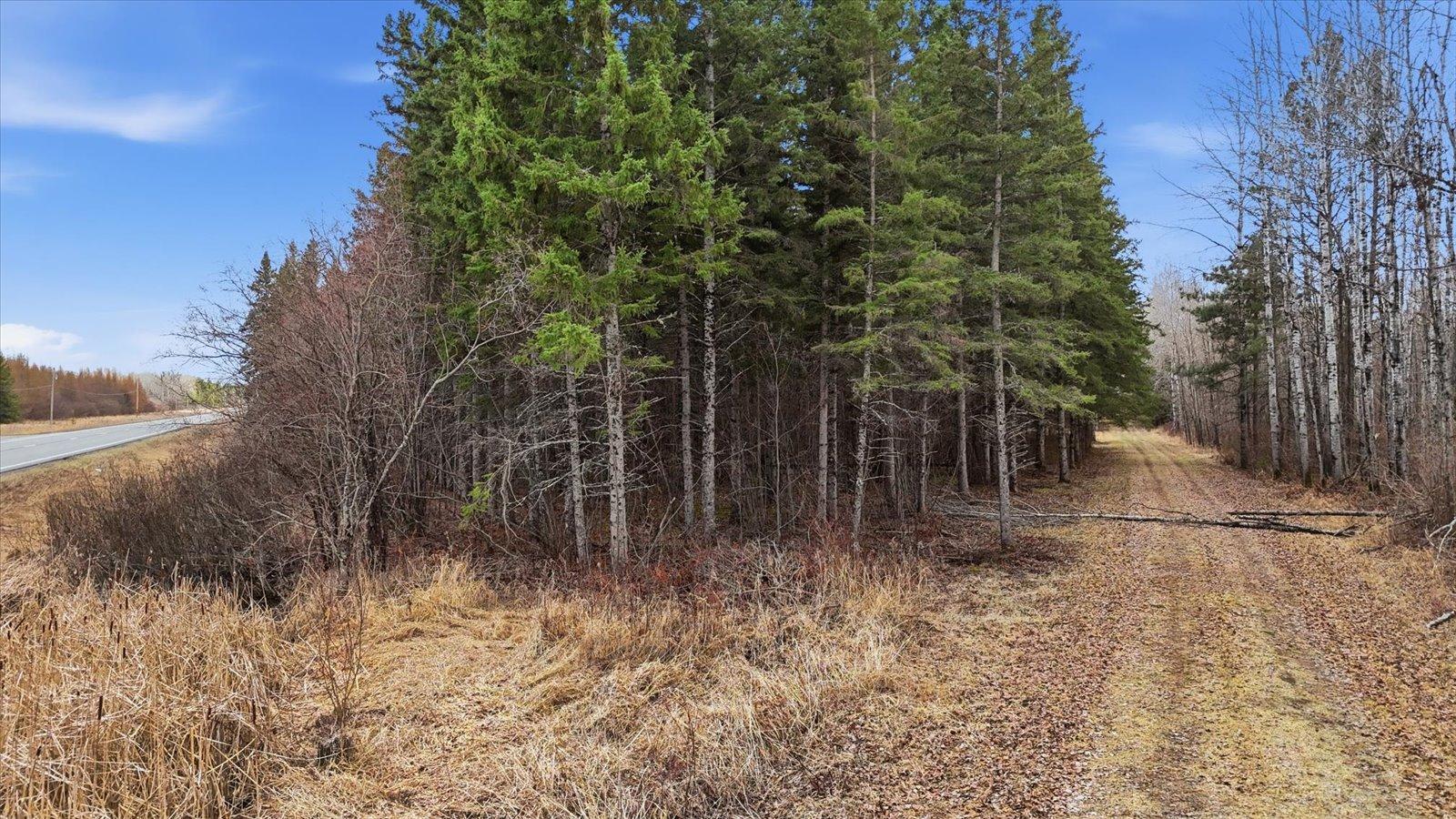 Tbd Town Road #55 Property Photo 10