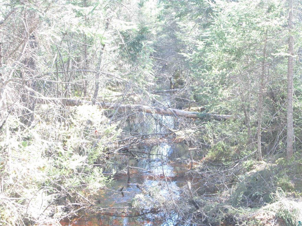 Lot 1 County Rd L Property Photo 8