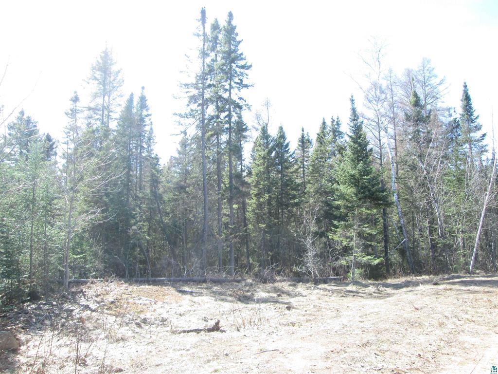 Lot 1 County Rd L Property Photo 10