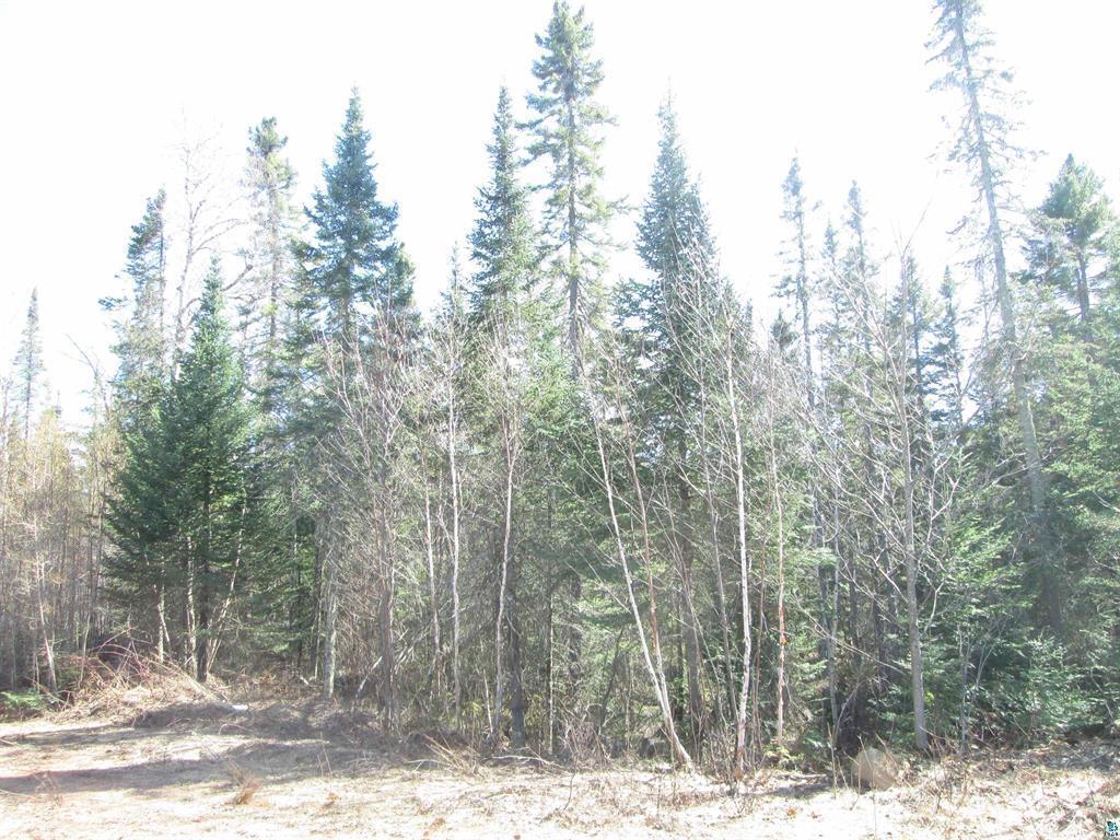 Lot 1 County Rd L Property Photo 12