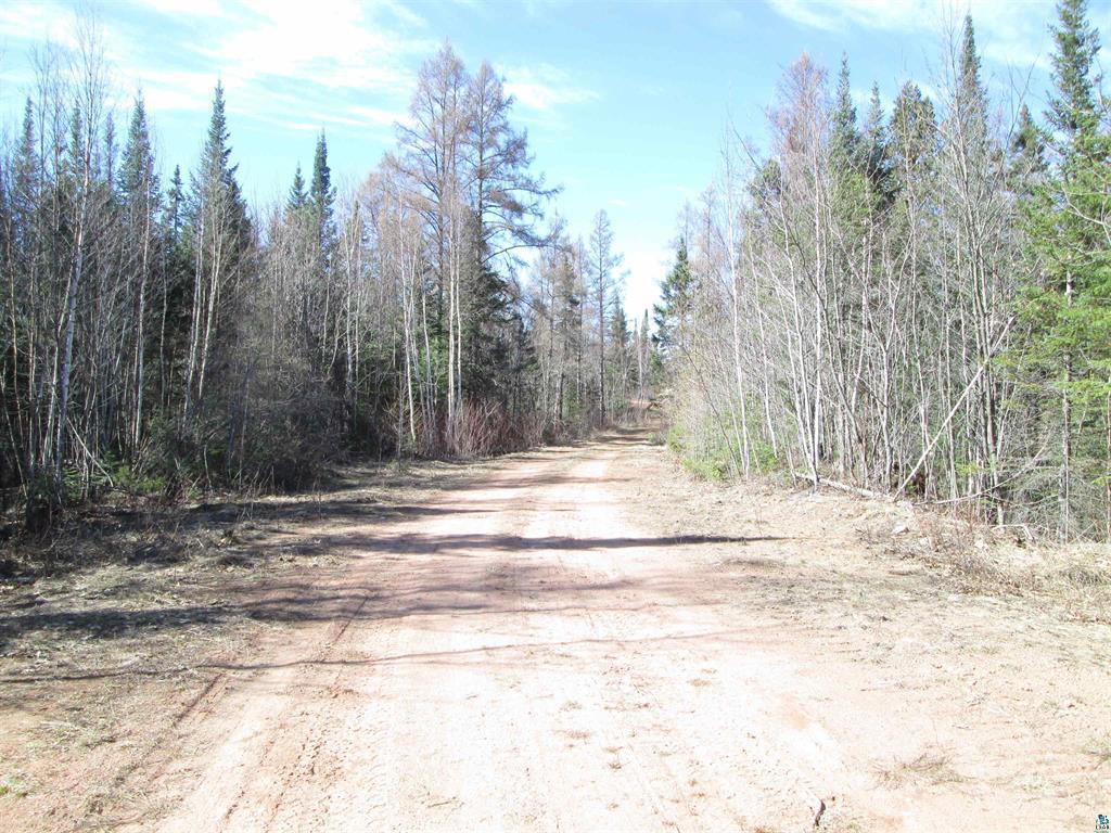 Lot 1 County Rd L Property Photo 13