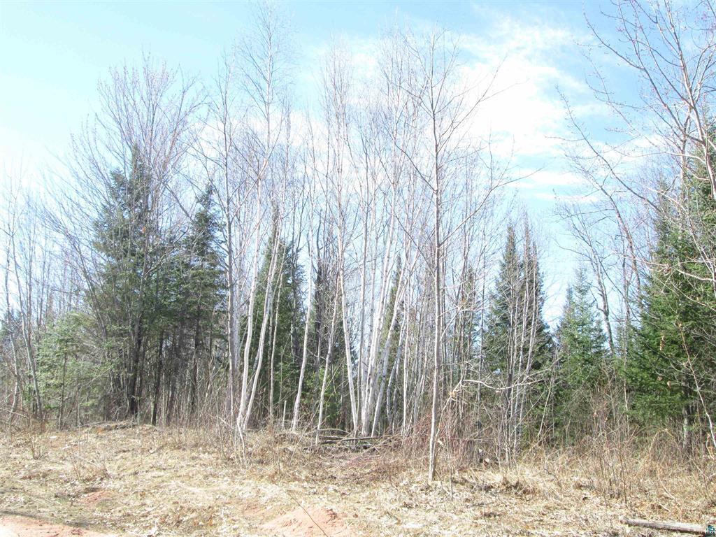 Lot 1 County Rd L Property Photo 15