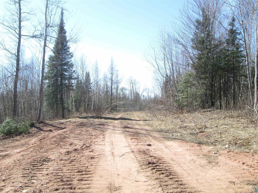 Lot 1 County Rd L Property Photo 16
