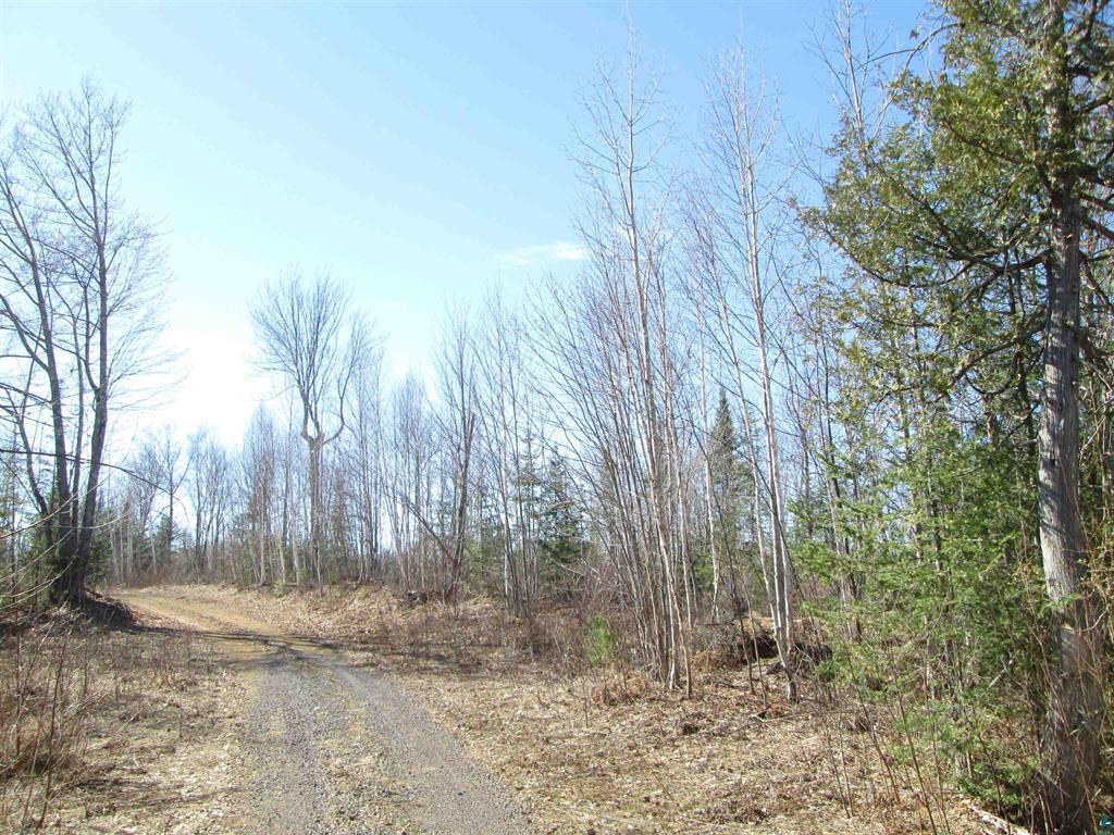 Lot 1 County Rd L Property Photo 21