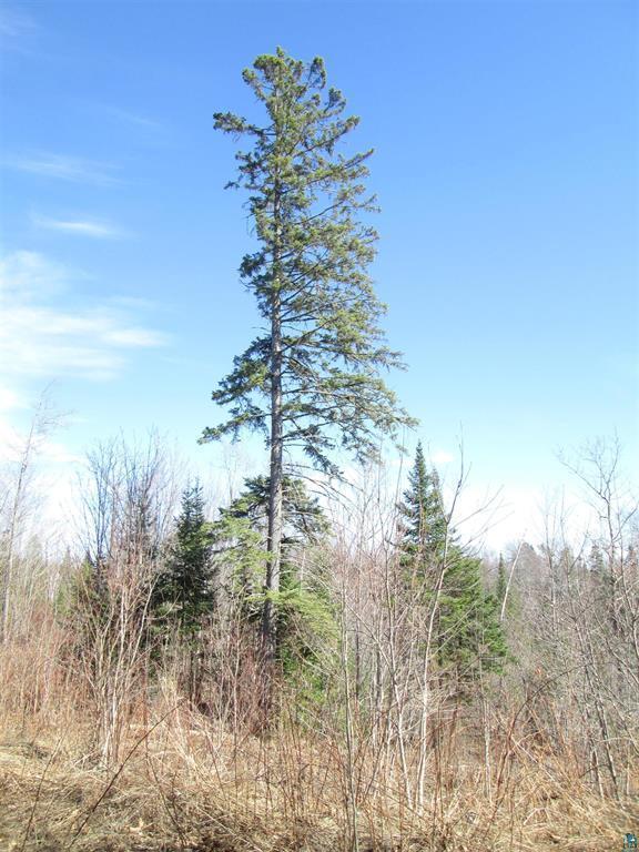 Lot 1 County Rd L Property Photo 22