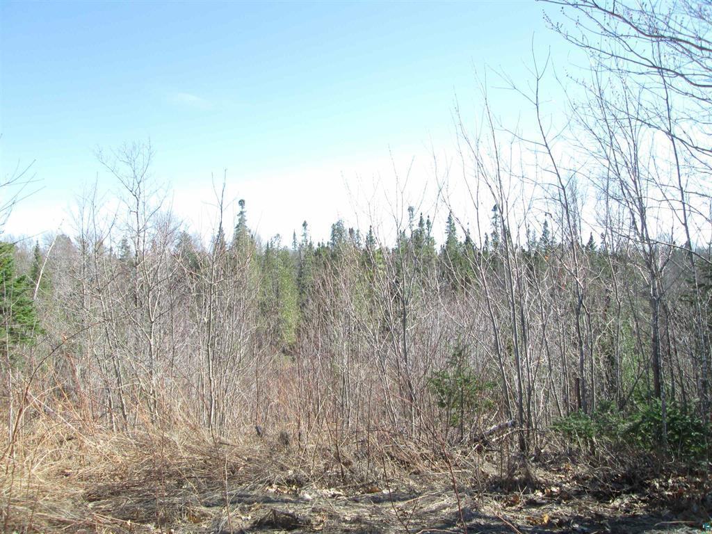 Lot 1 County Rd L Property Photo 23