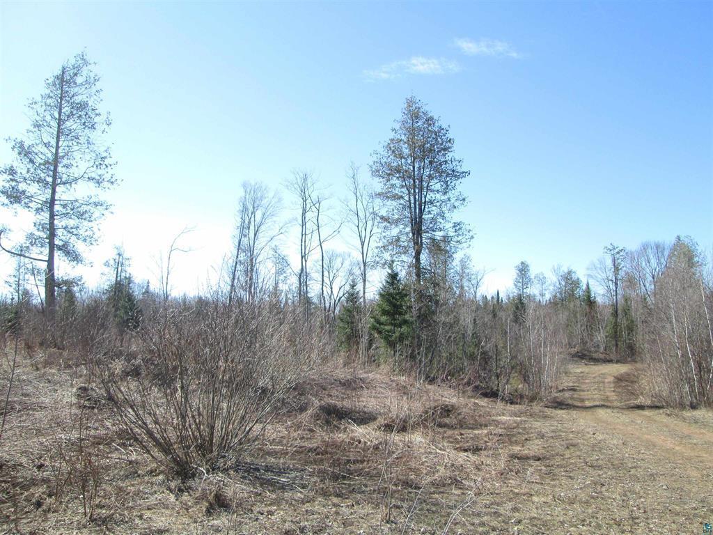Lot 1 County Rd L Property Photo 25
