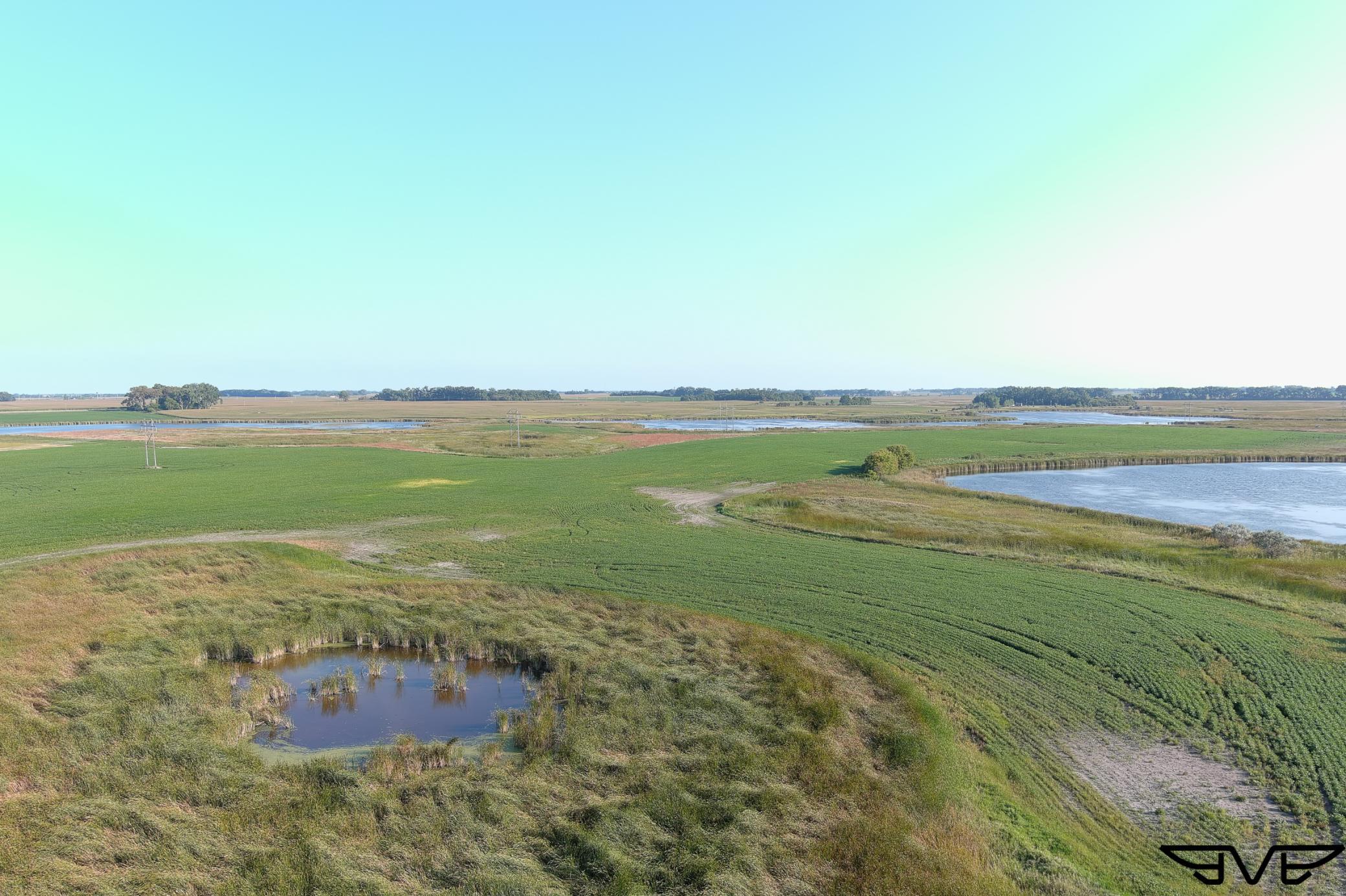 Tbd County Road 1 Property Photo 16