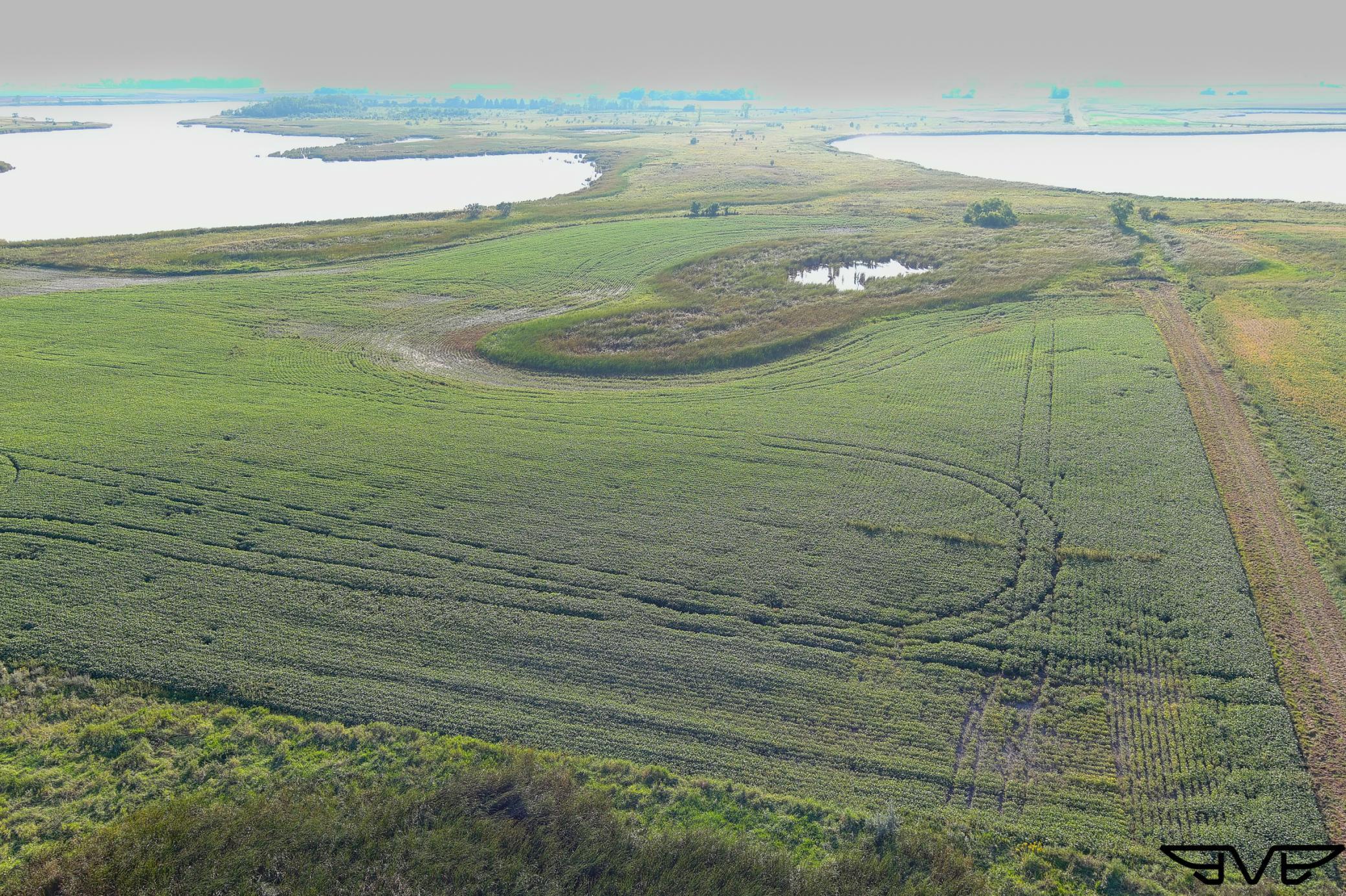 Tbd County Road 1 Property Photo 43