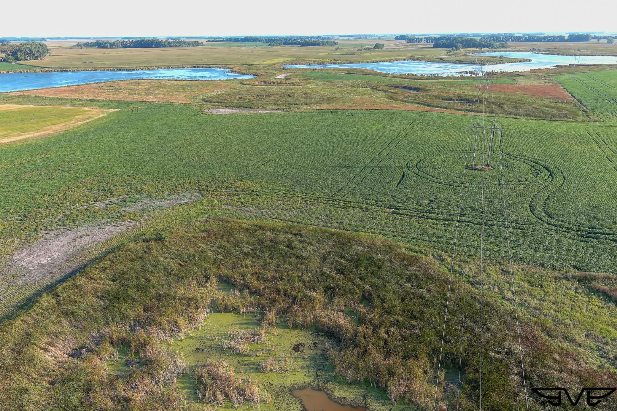 Tbd County Road 1 Property Photo 46