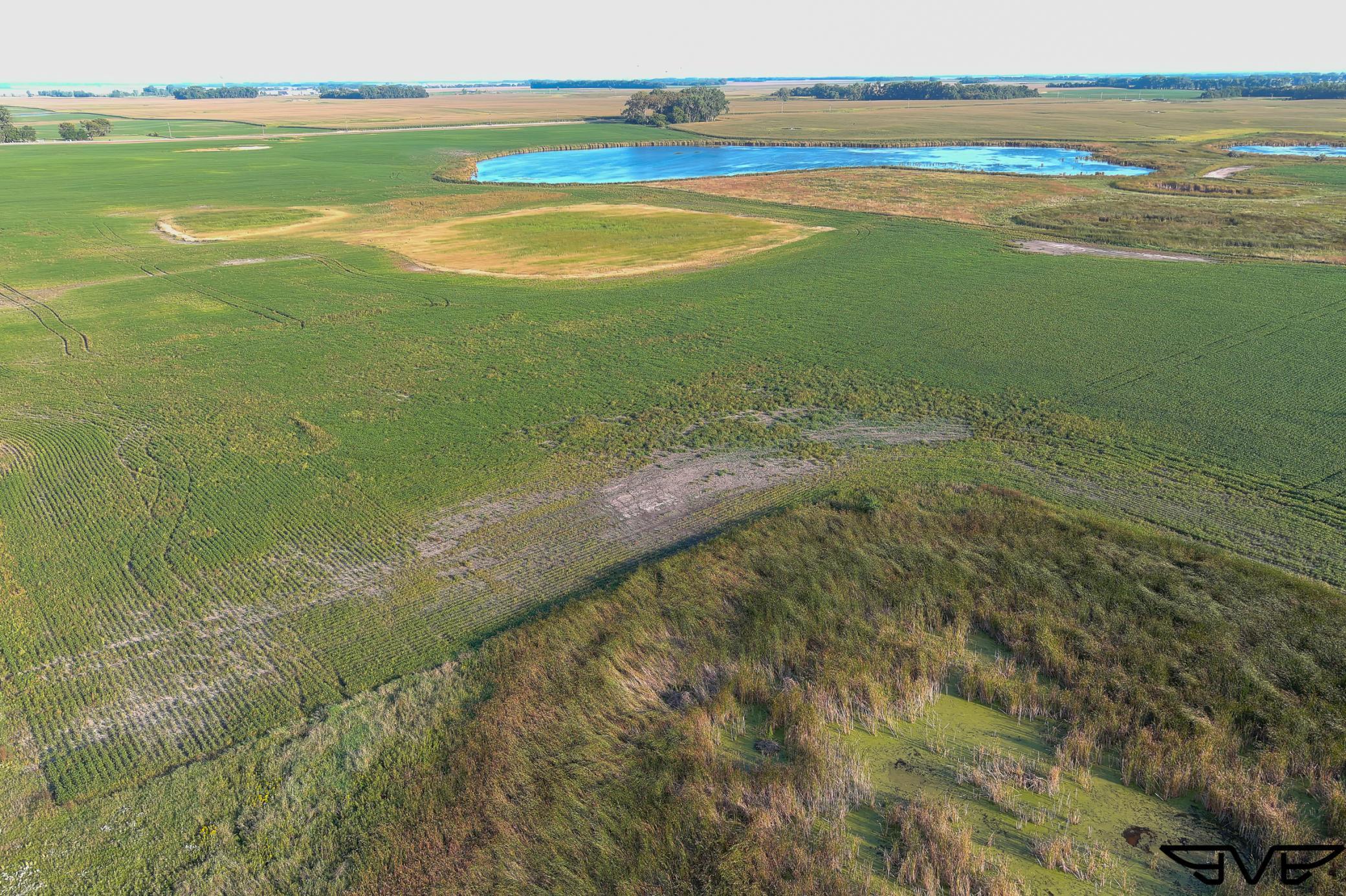 Tbd County Road 1 Property Photo 47