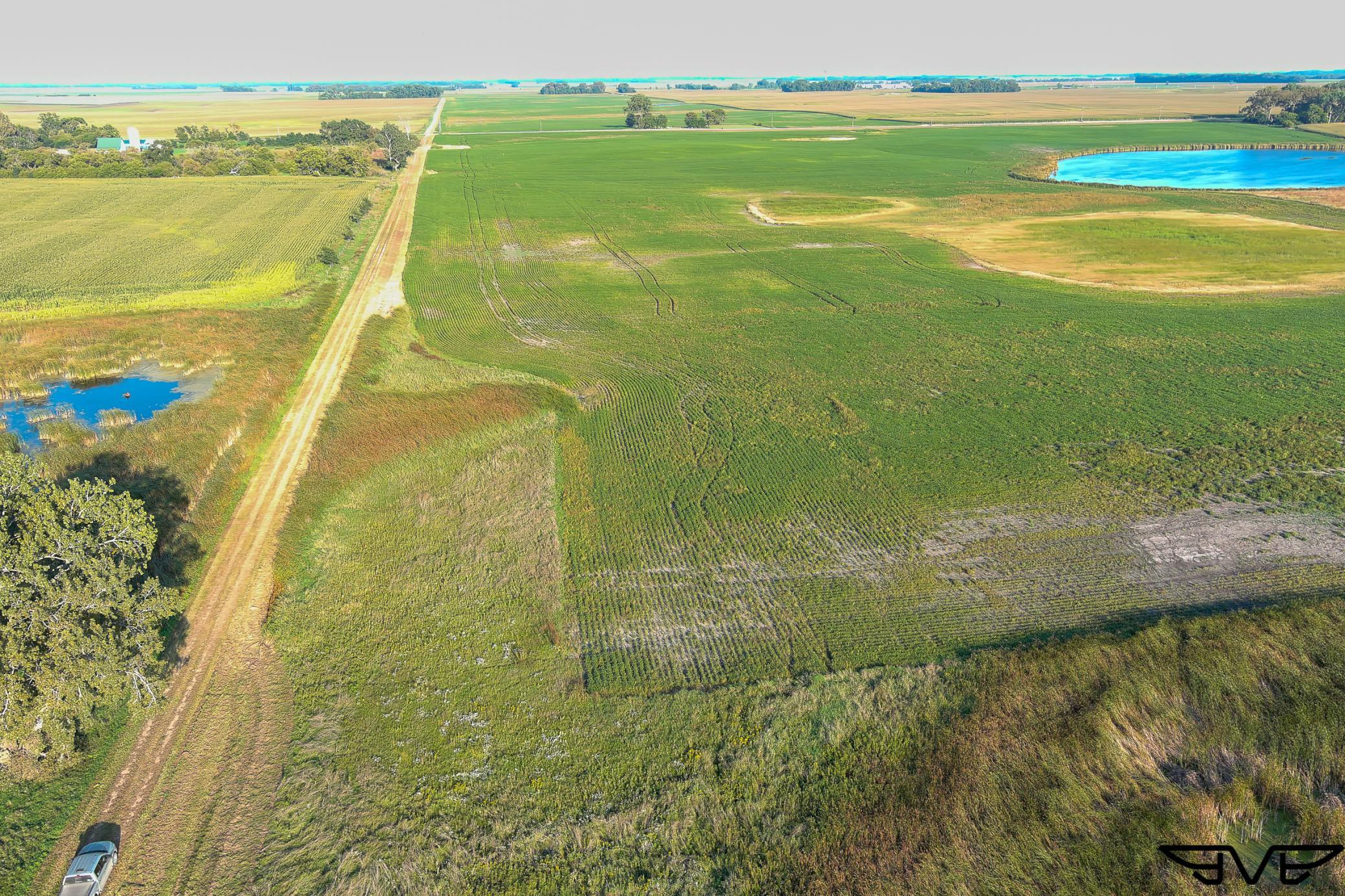 Tbd County Road 1 Property Photo 48