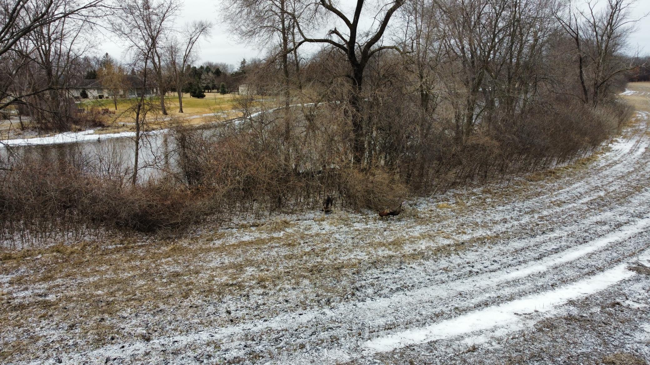 6704 & 6868 Old Highway 52 Property Photo 40