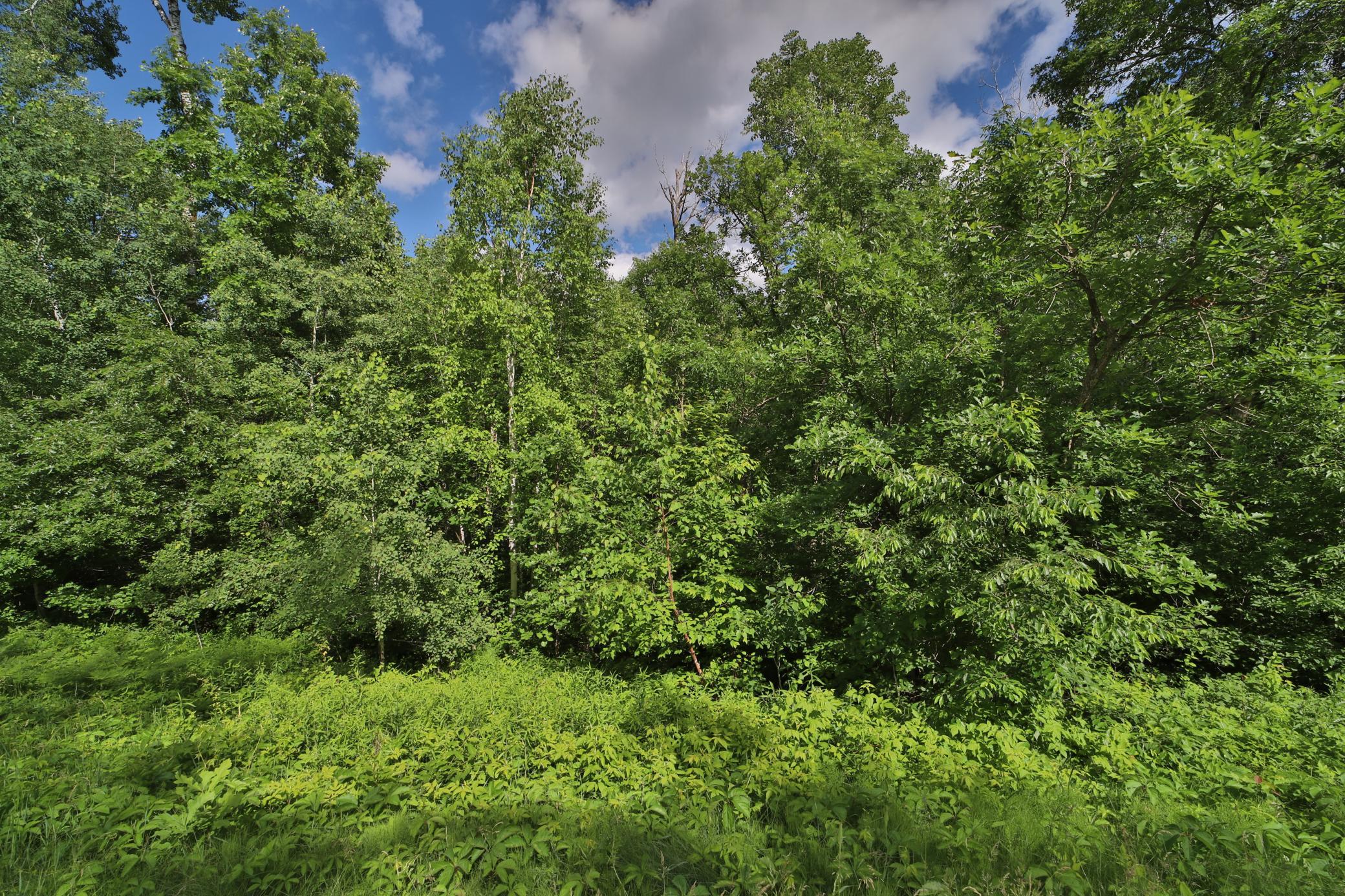 Tbd Percheron Drive Property Photo 1