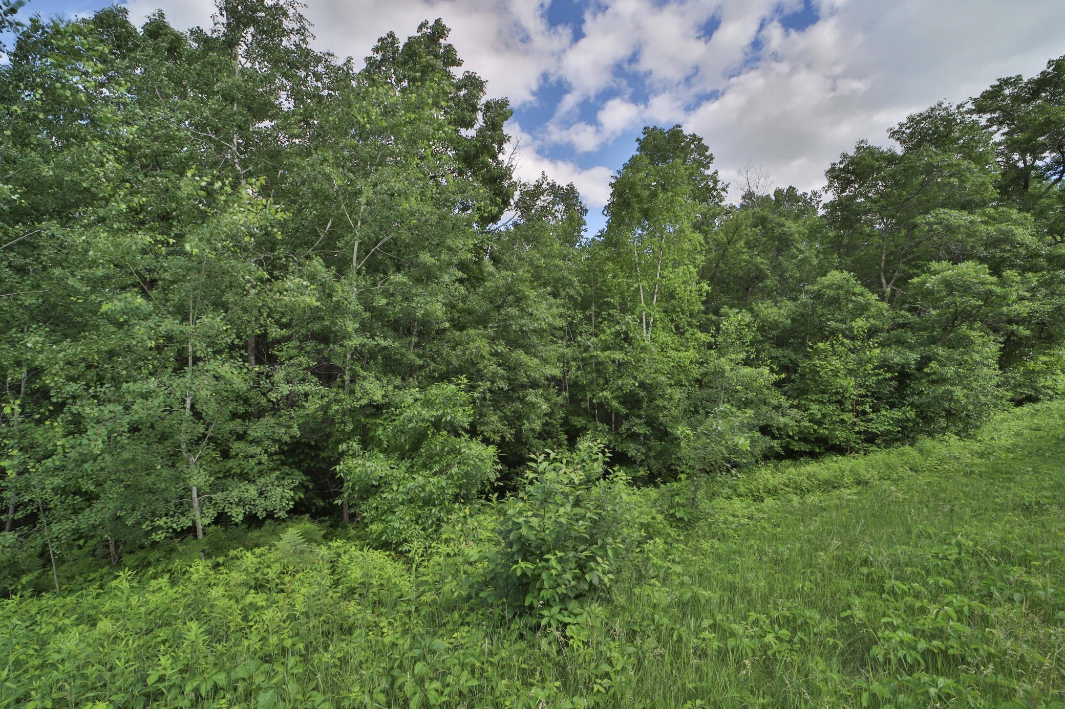 Tbd Percheron Drive Property Photo 3