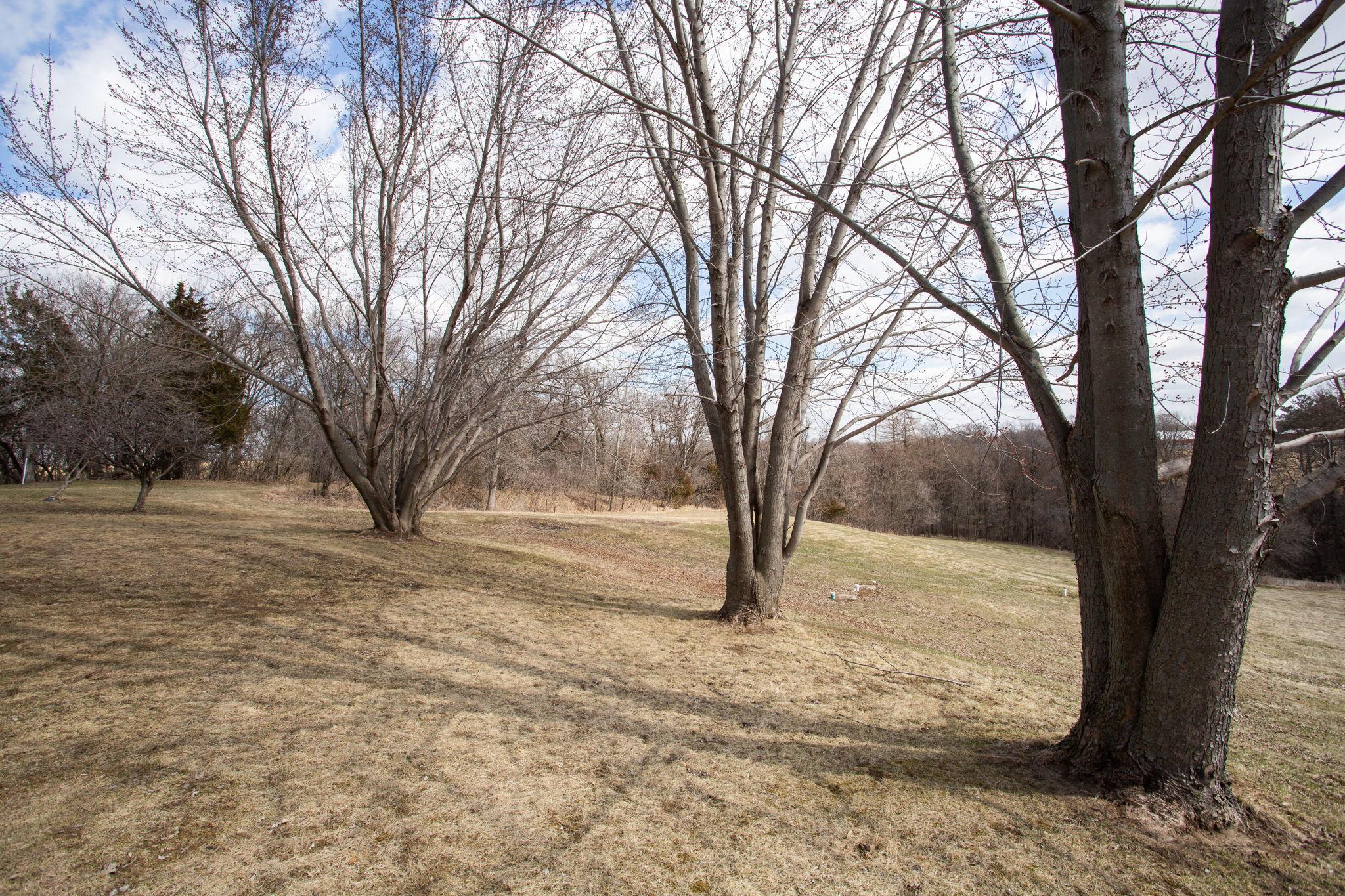 17531 County 41 Boulevard Property Photo 74