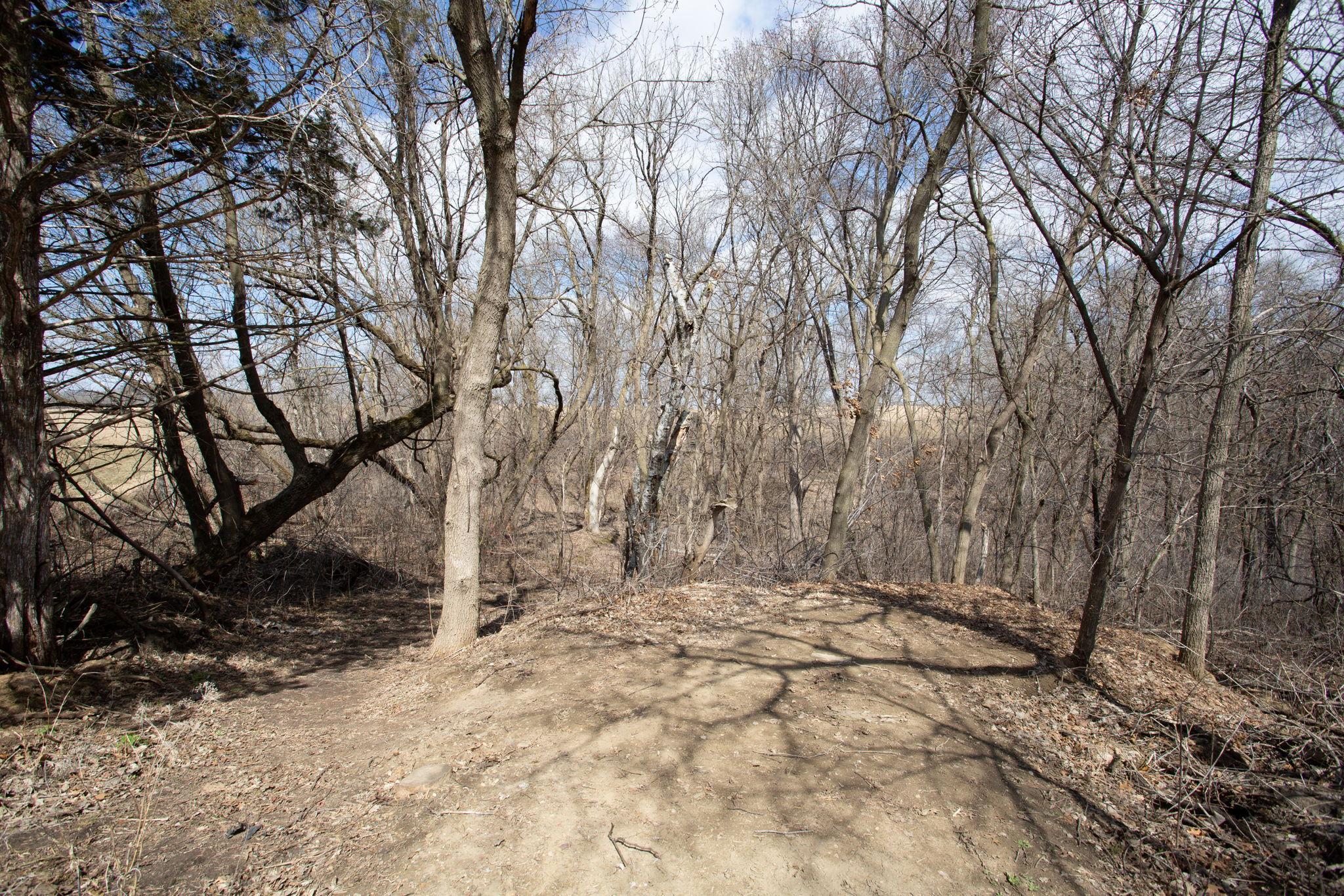 17531 County 41 Boulevard Property Photo 78