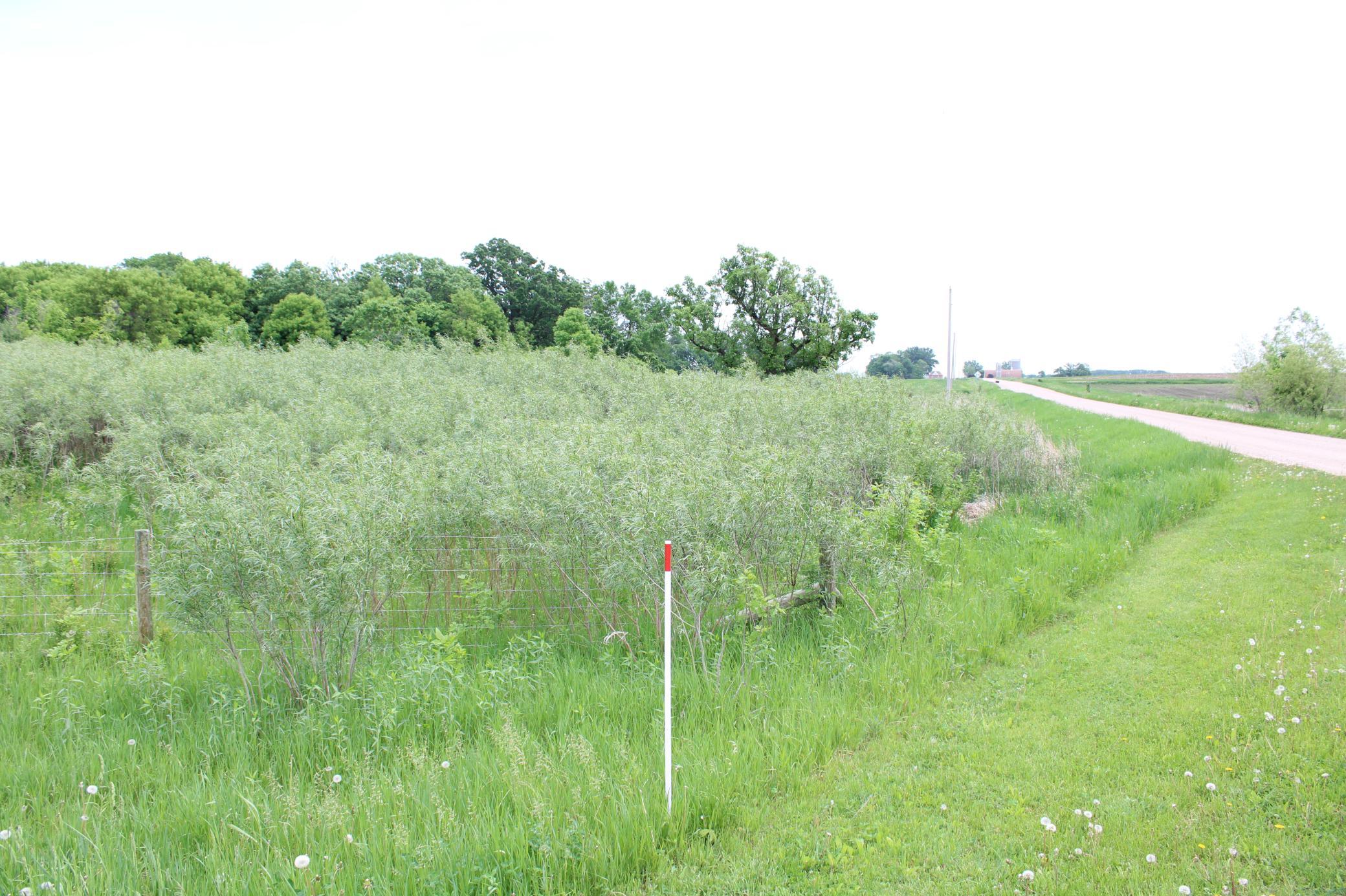 Tbd 225th Property Photo 45