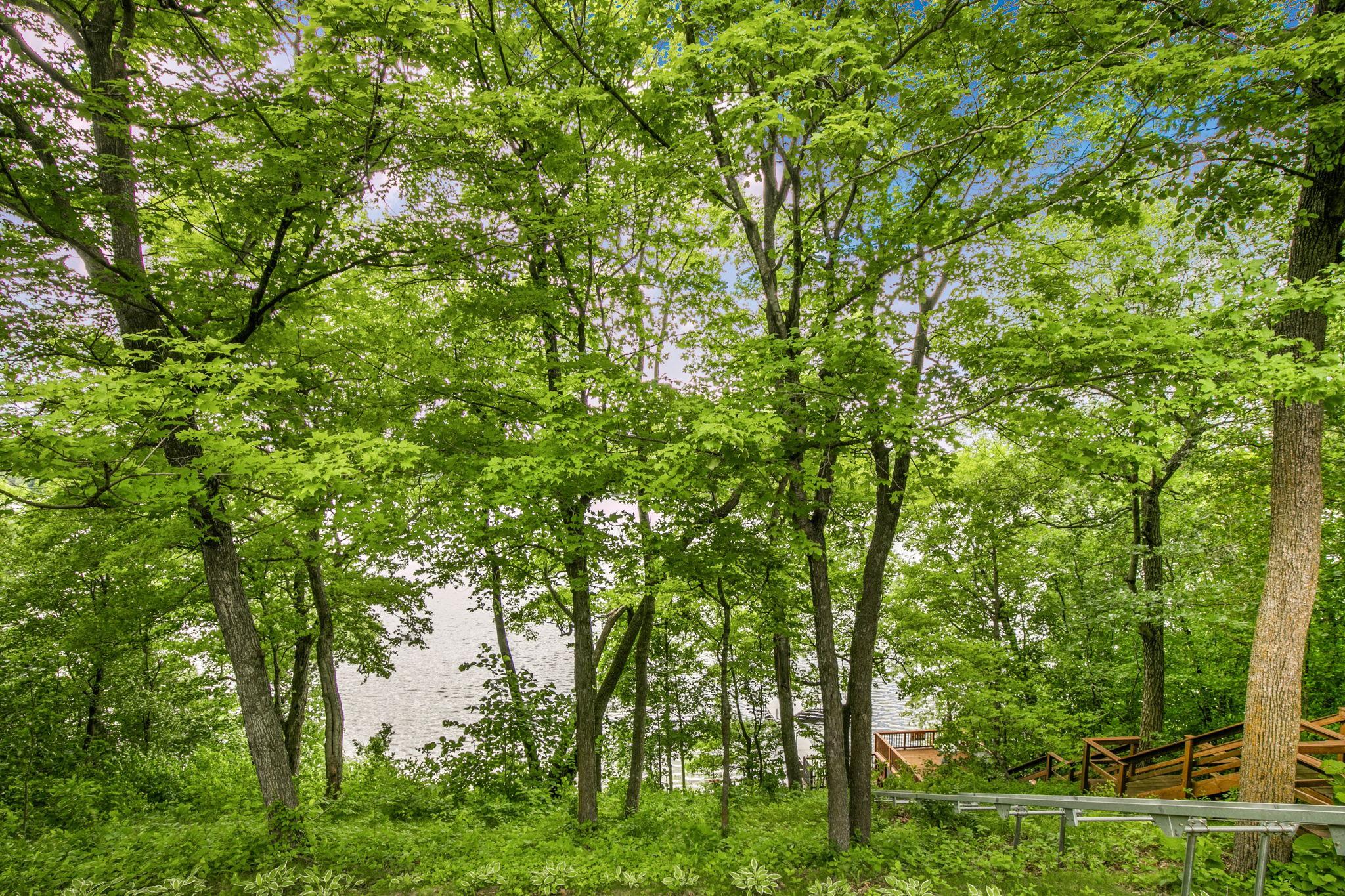 10065 Amigo Trail Property Photo 13