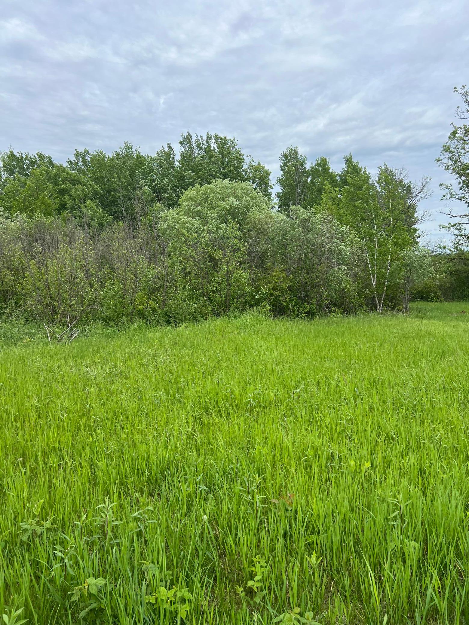 Tbd Coneflower Lane Sw Property Photo 5