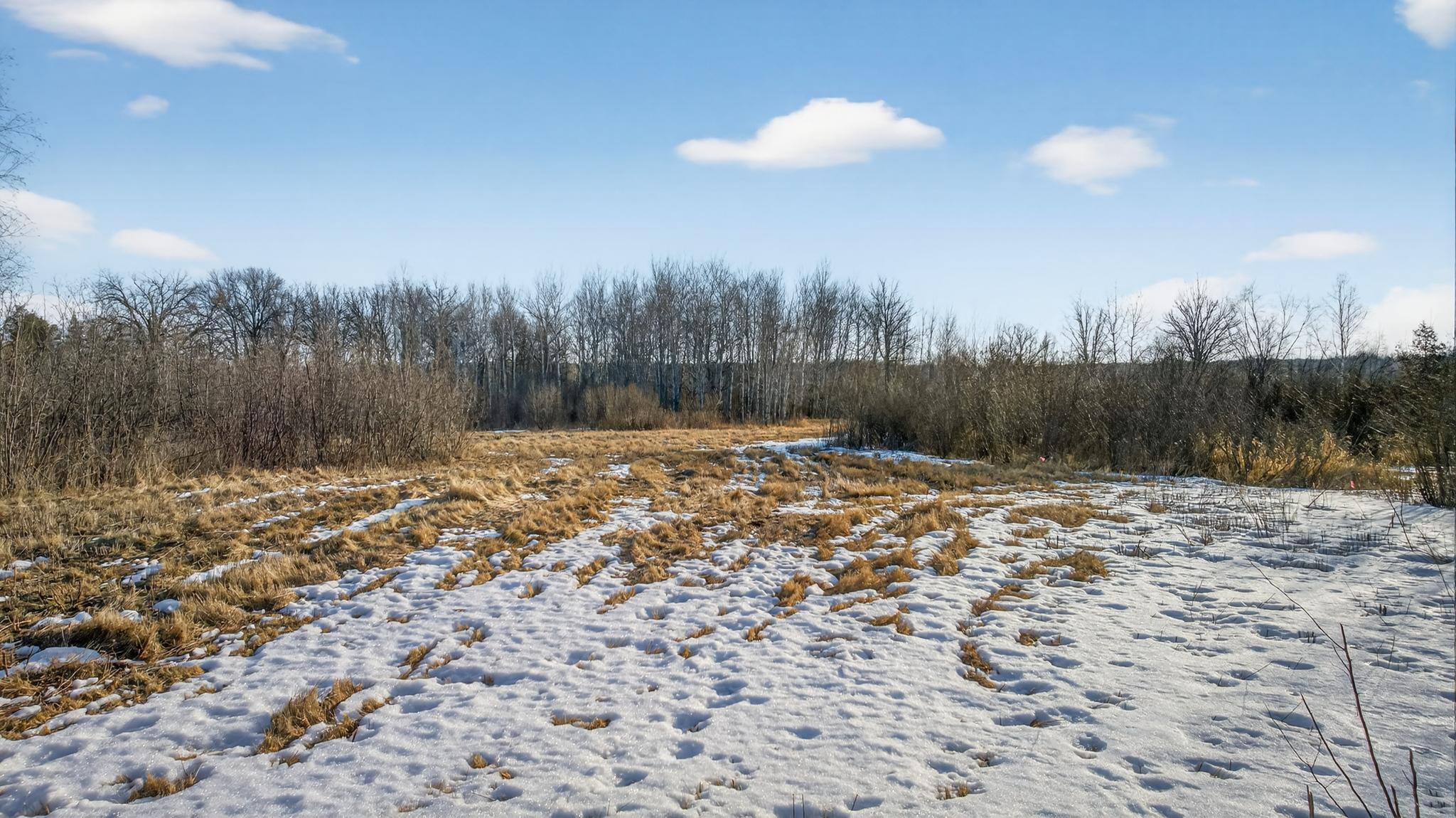 Tbd Coneflower Lane Sw Property Photo 8