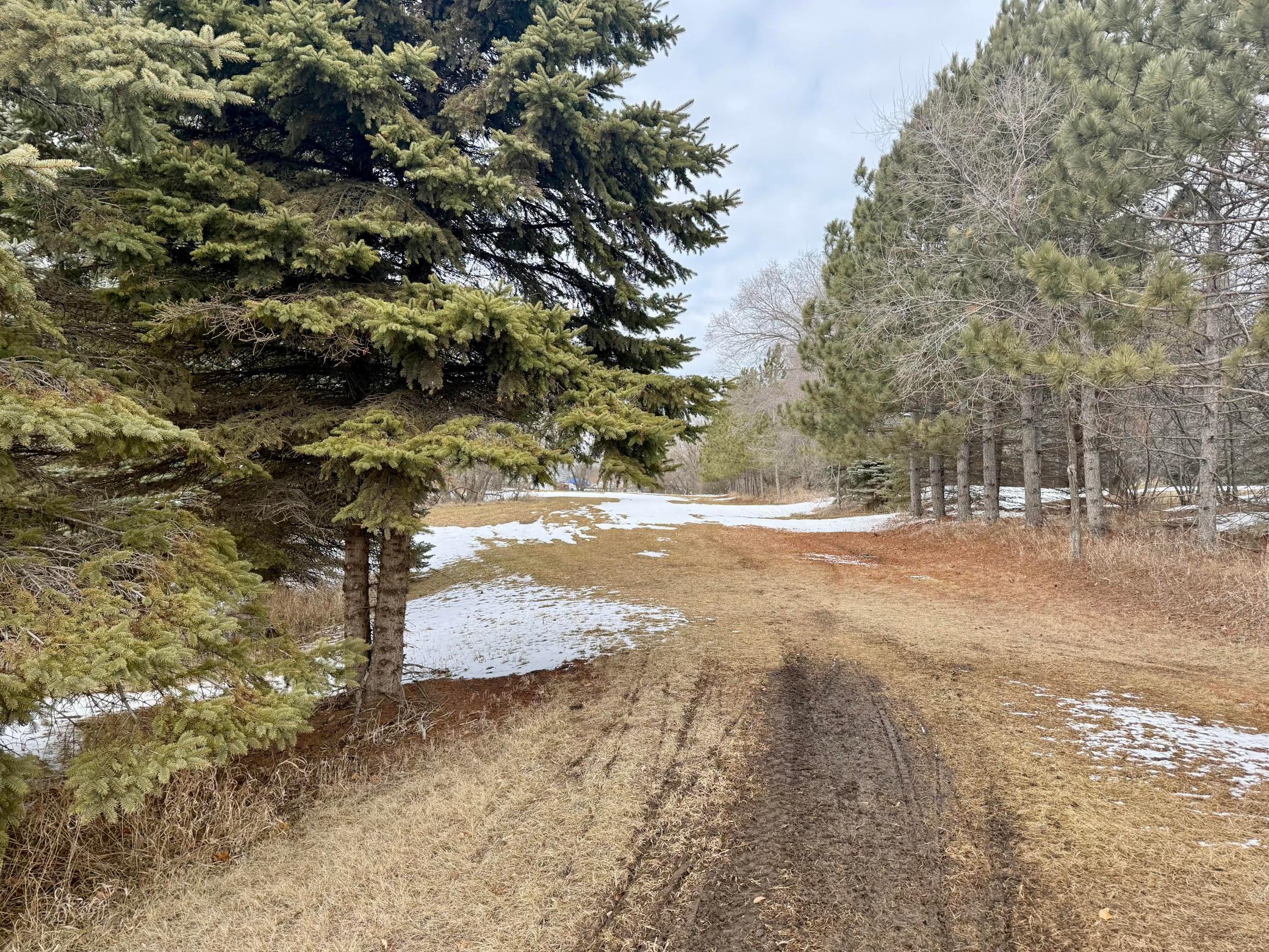 TBD Randolph Road Property Photo 1