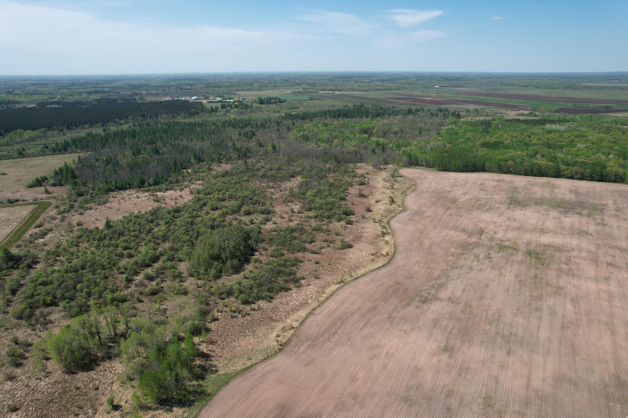 Tbd County Road 14 Property Photo 8