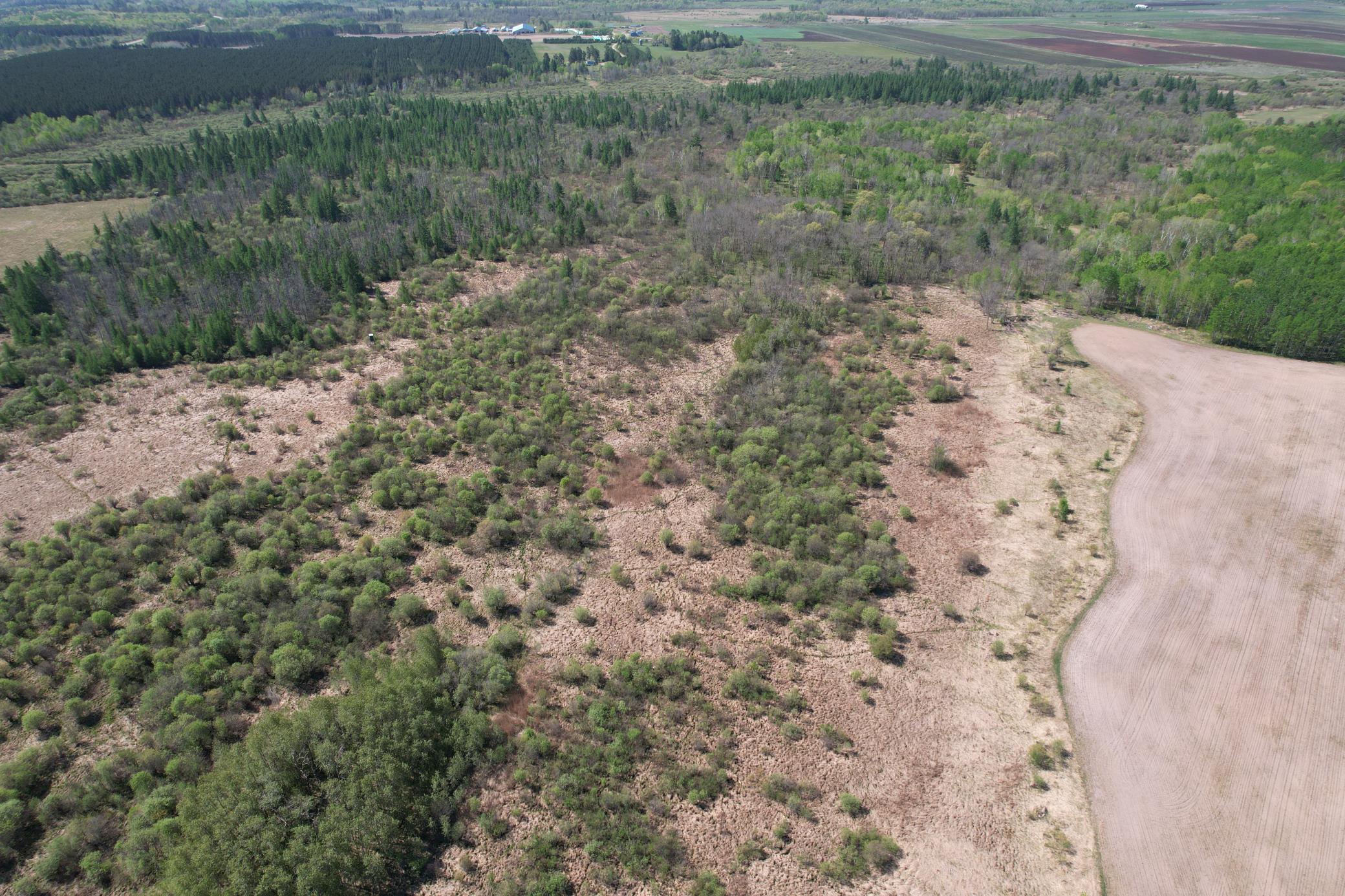 Tbd County Road 14 Property Photo 9