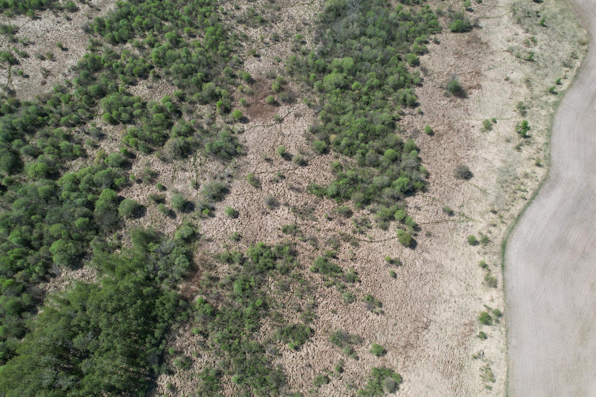 Tbd County Road 14 Property Photo 10