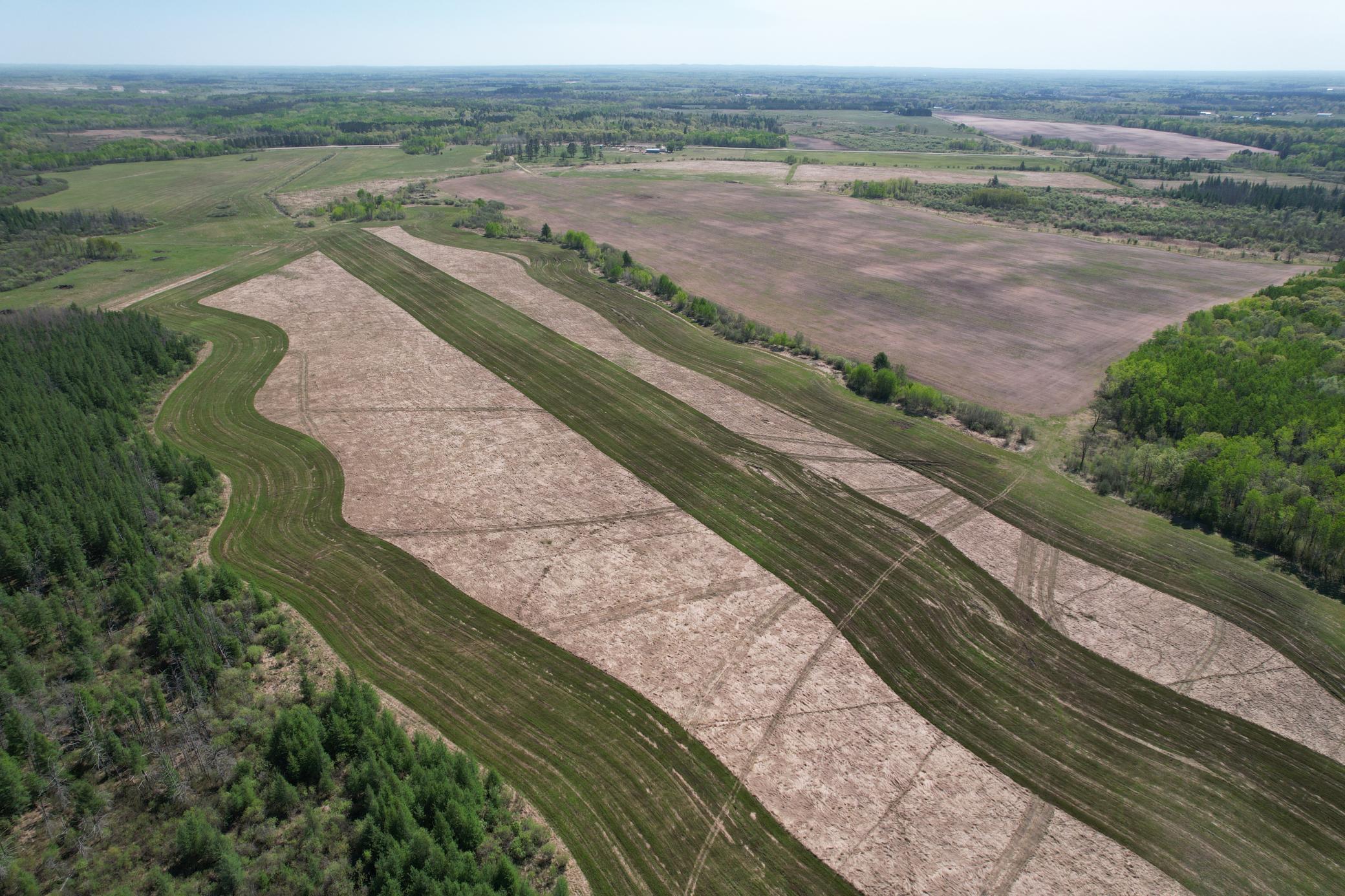 Tbd County Road 14 Property Photo 16