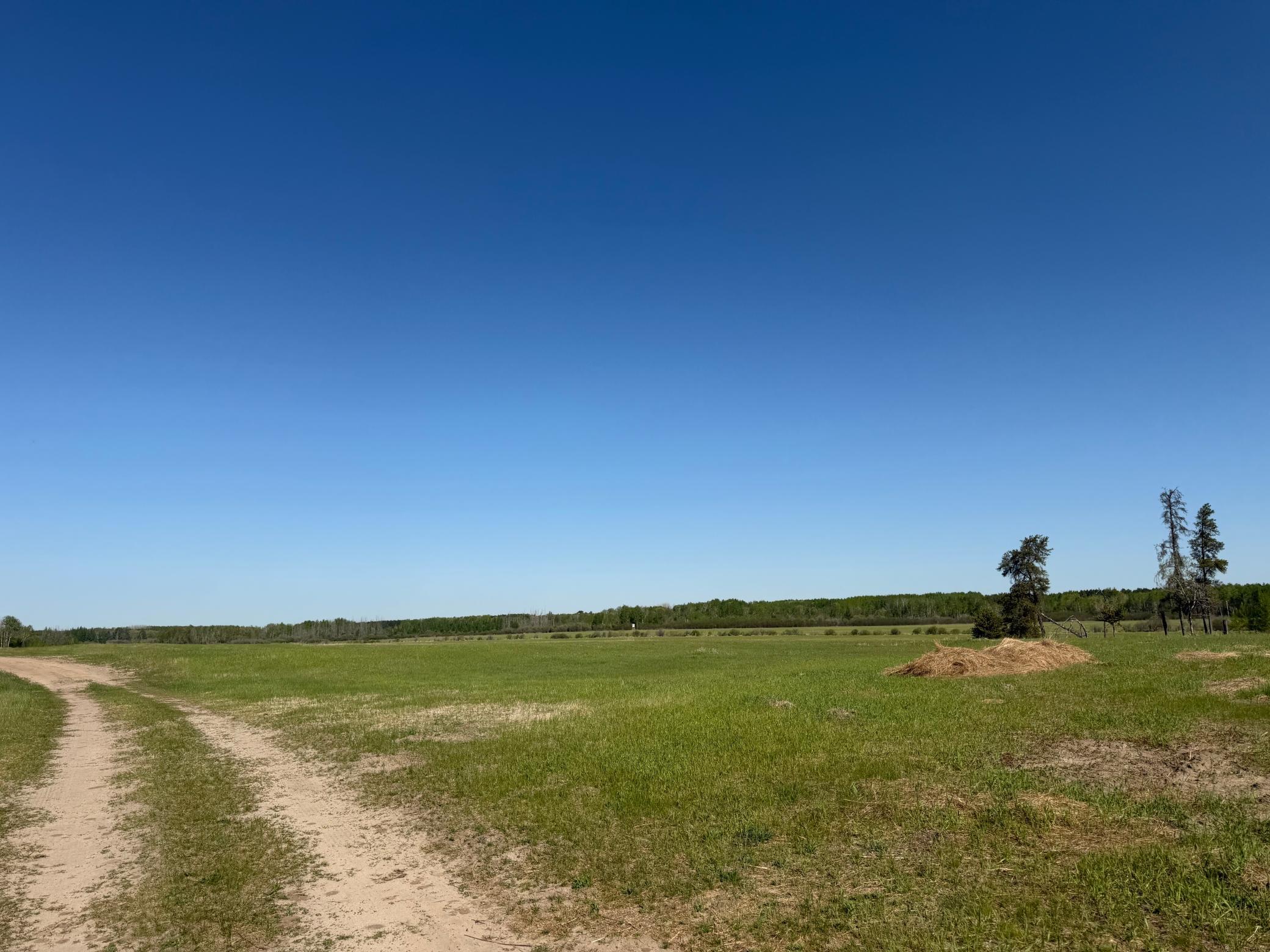 Tbd County Road 14 Property Photo 25