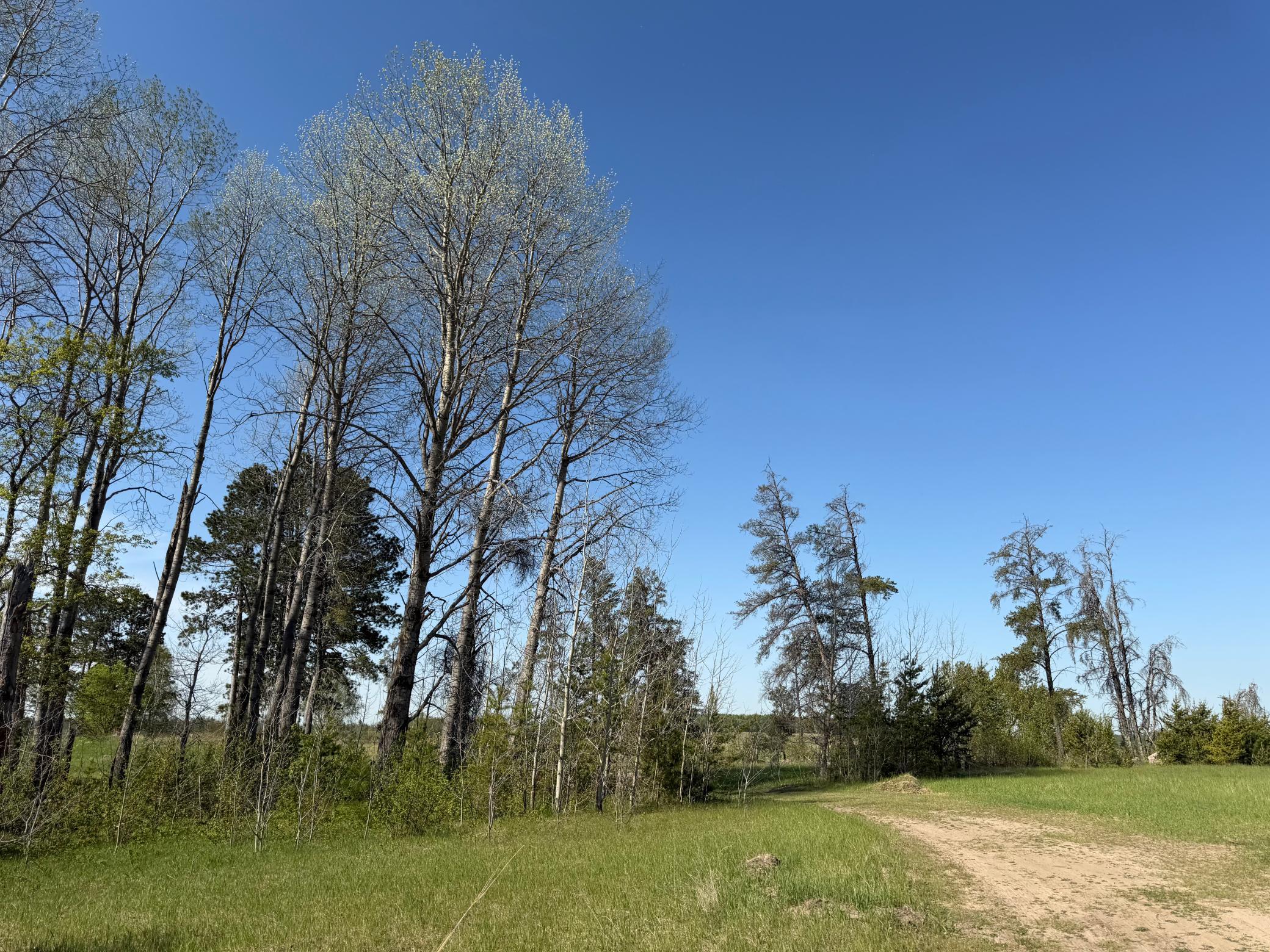Tbd County Road 14 Property Photo 27