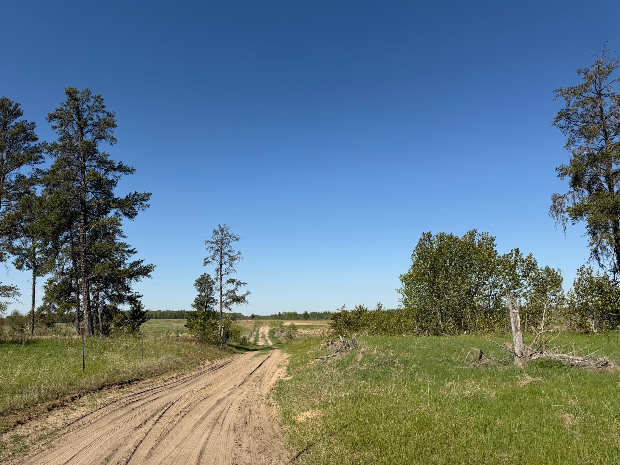 Tbd County Road 14 Property Photo 29