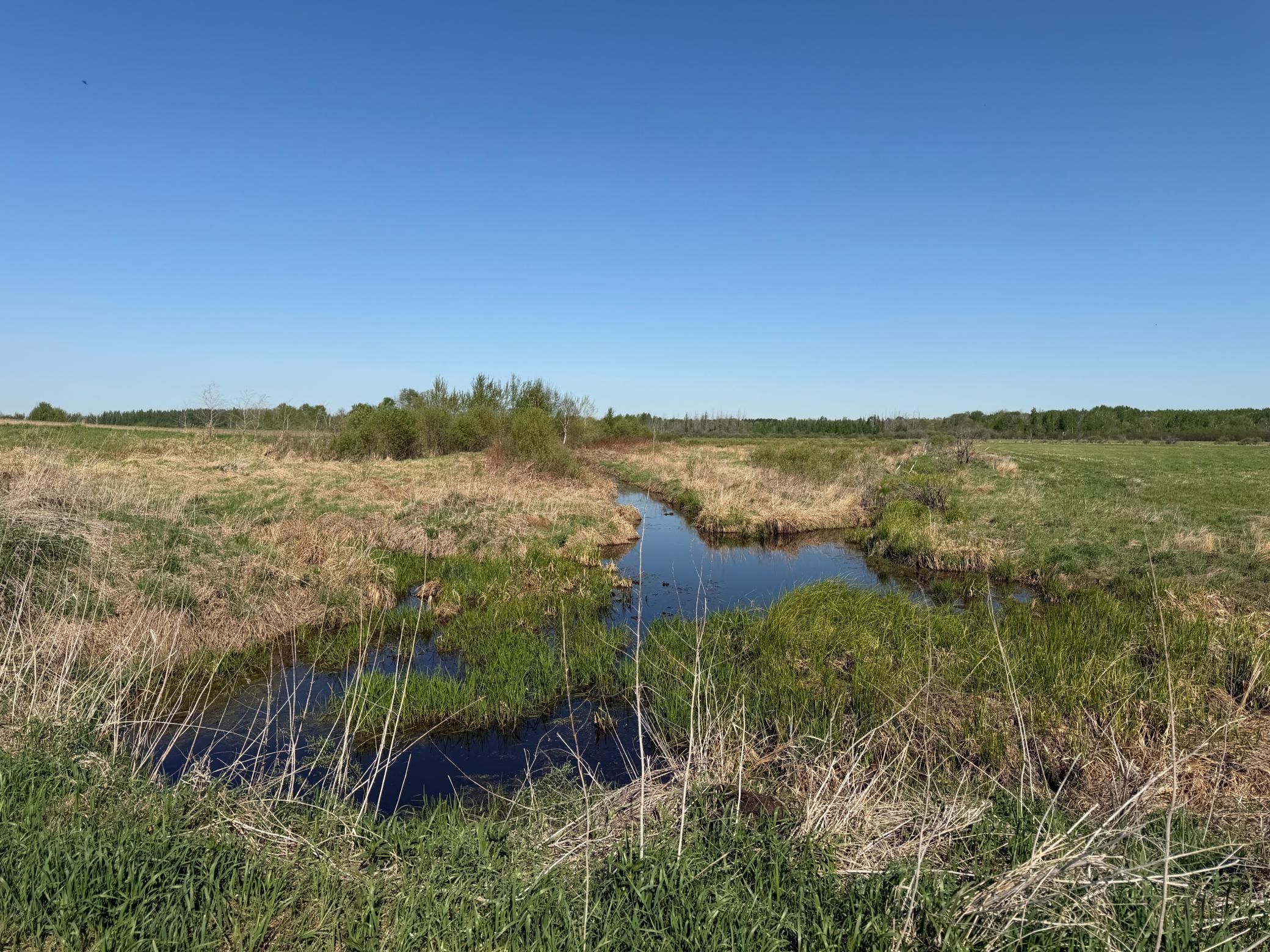 Tbd County Road 14 Property Photo 31