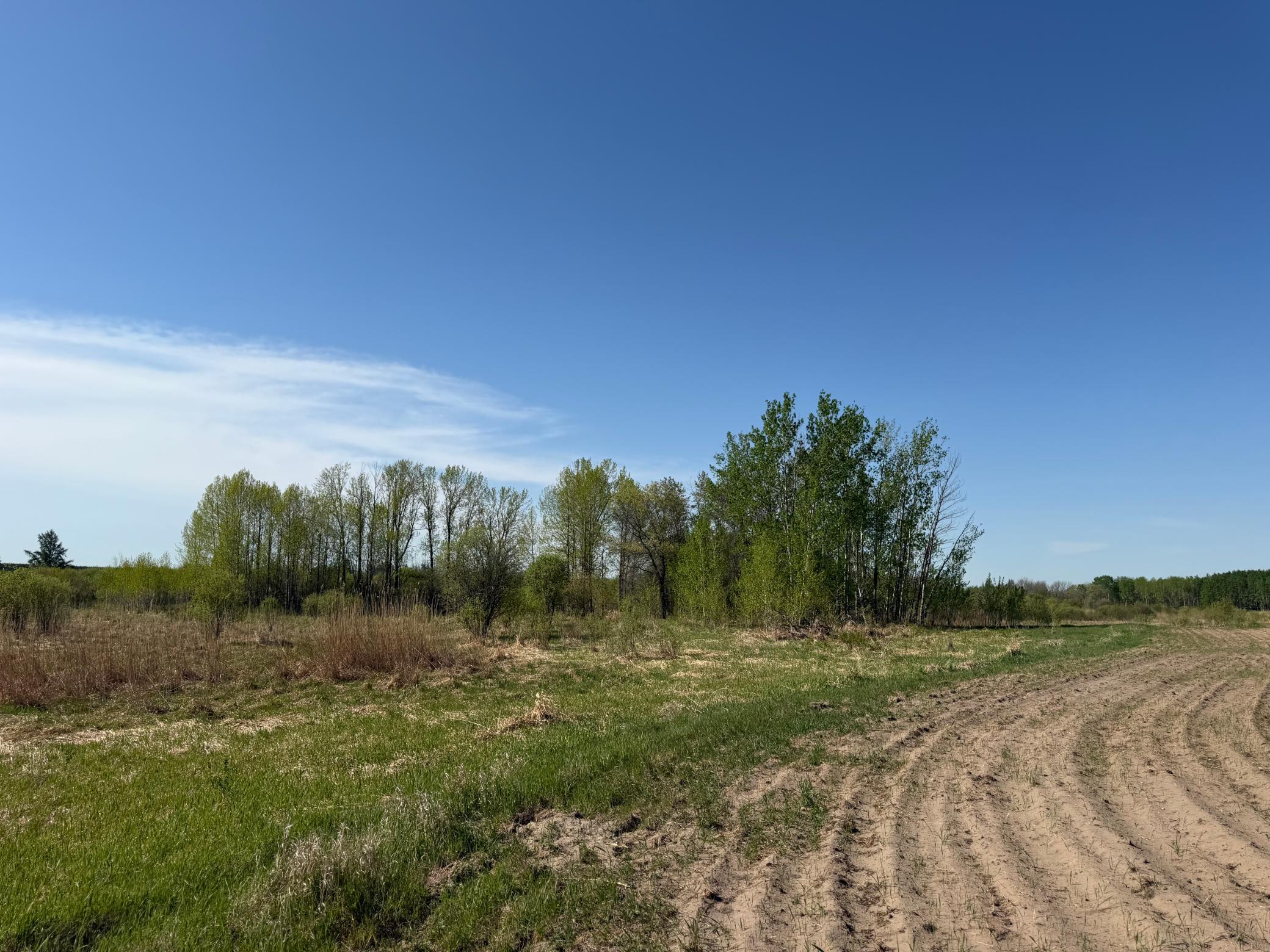 Tbd County Road 14 Property Photo 37
