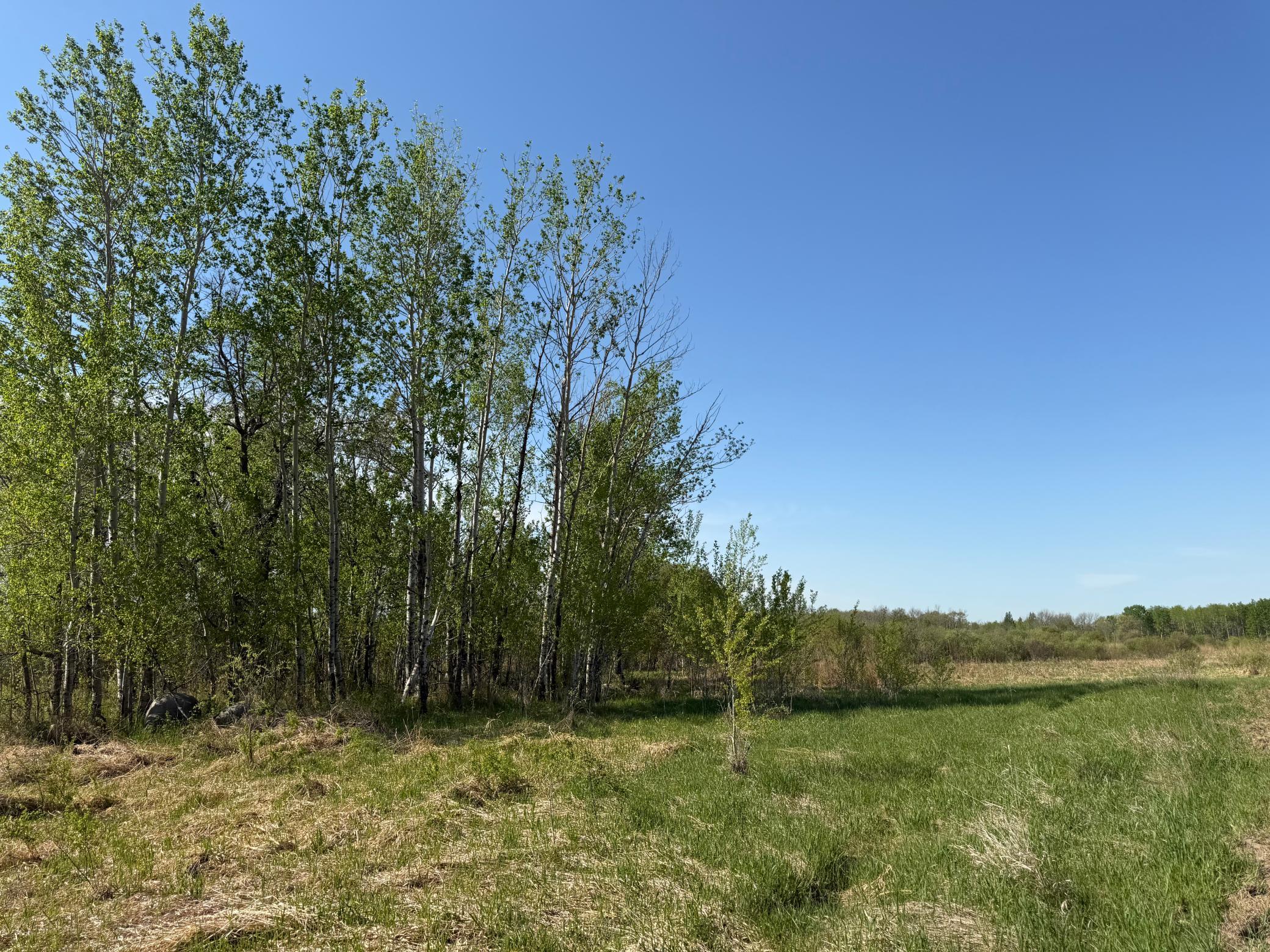 Tbd County Road 14 Property Photo 38