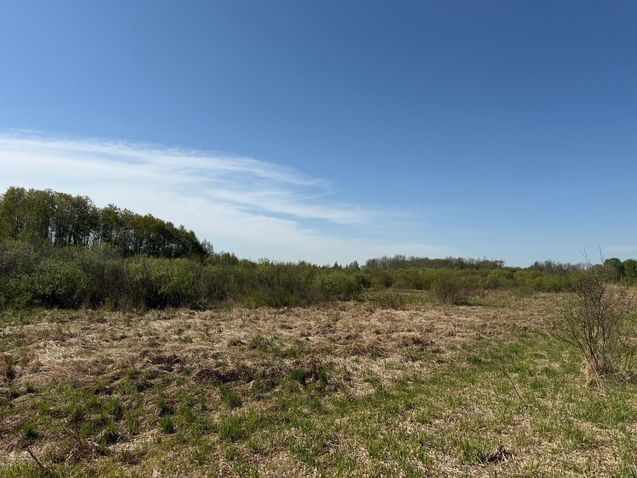 Tbd County Road 14 Property Photo 39