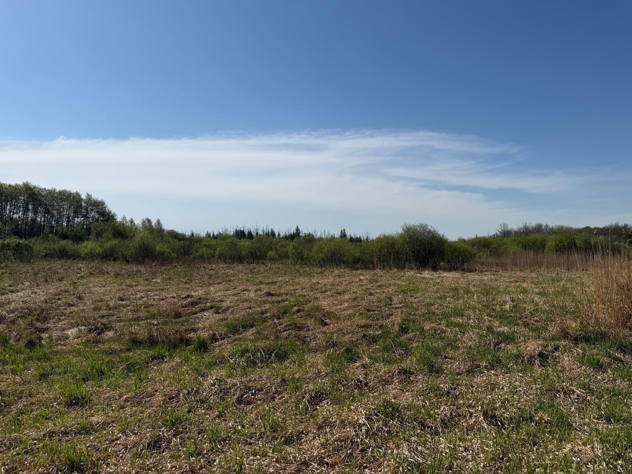 Tbd County Road 14 Property Photo 40
