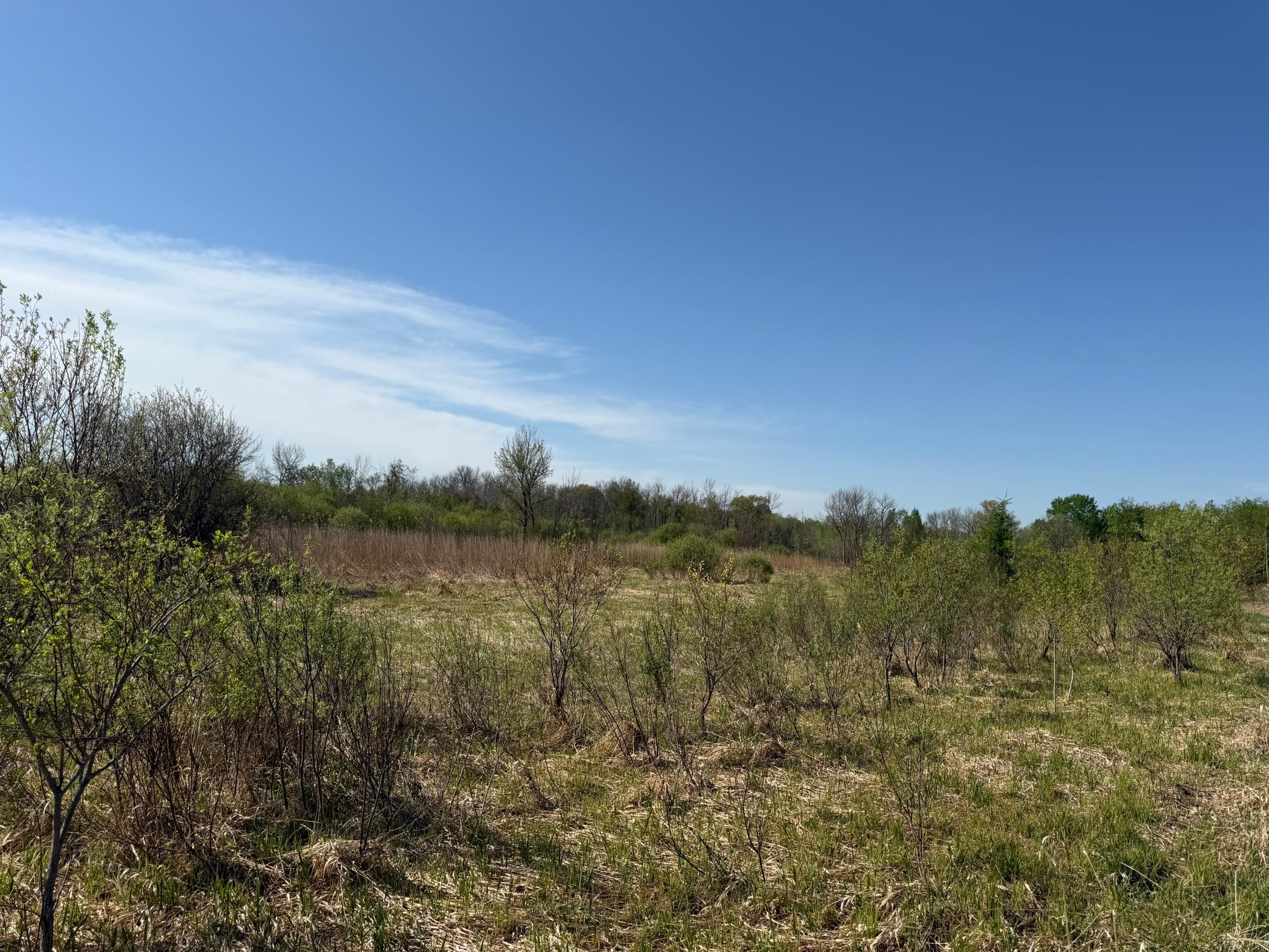 Tbd County Road 14 Property Photo 41