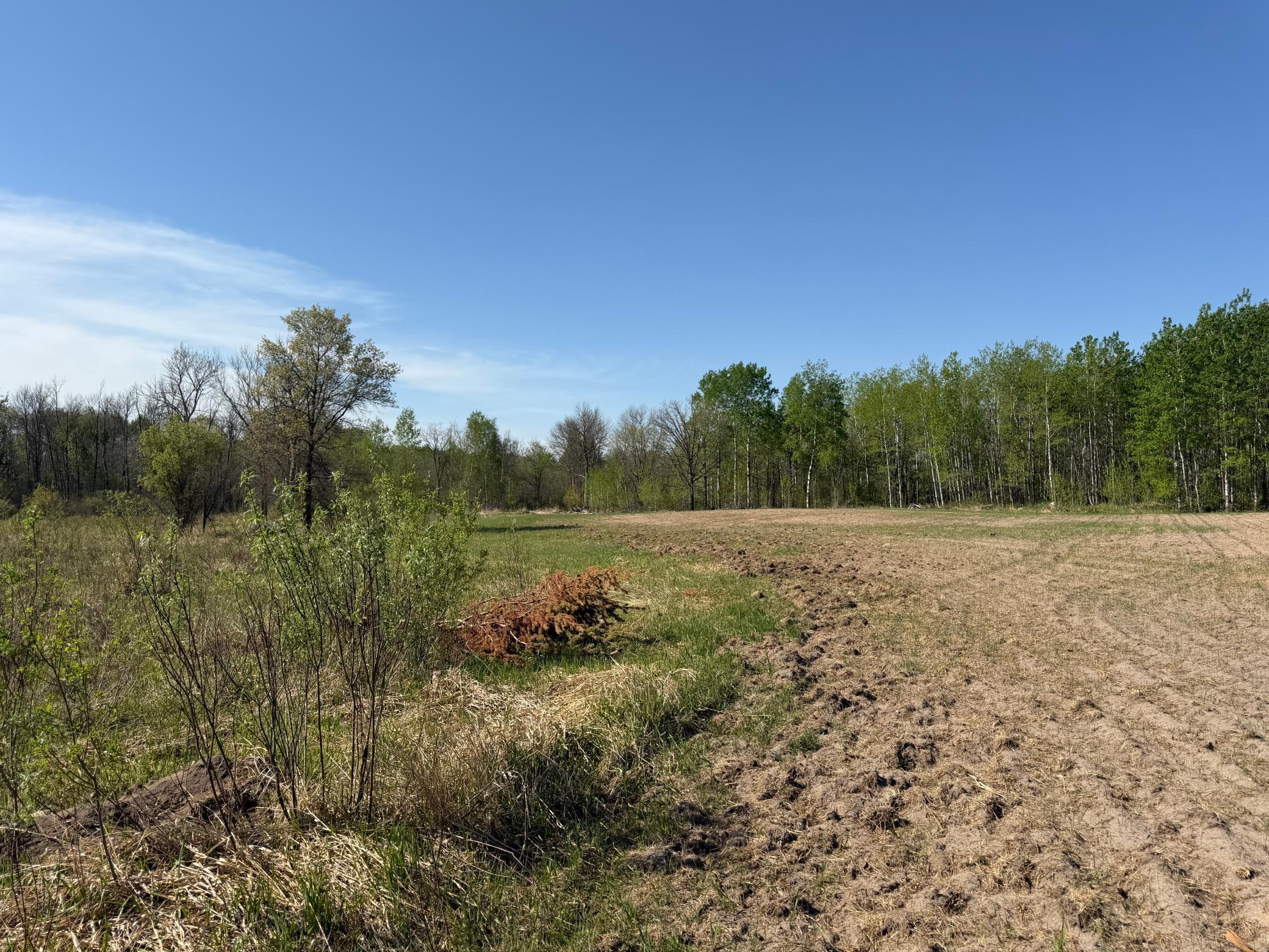 Tbd County Road 14 Property Photo 43
