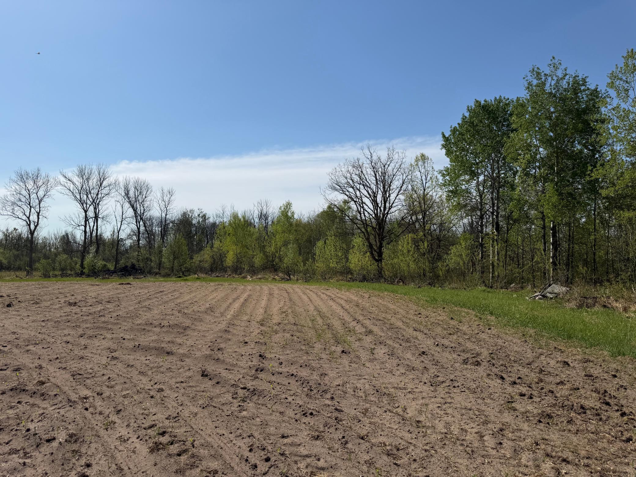 Tbd County Road 14 Property Photo 44