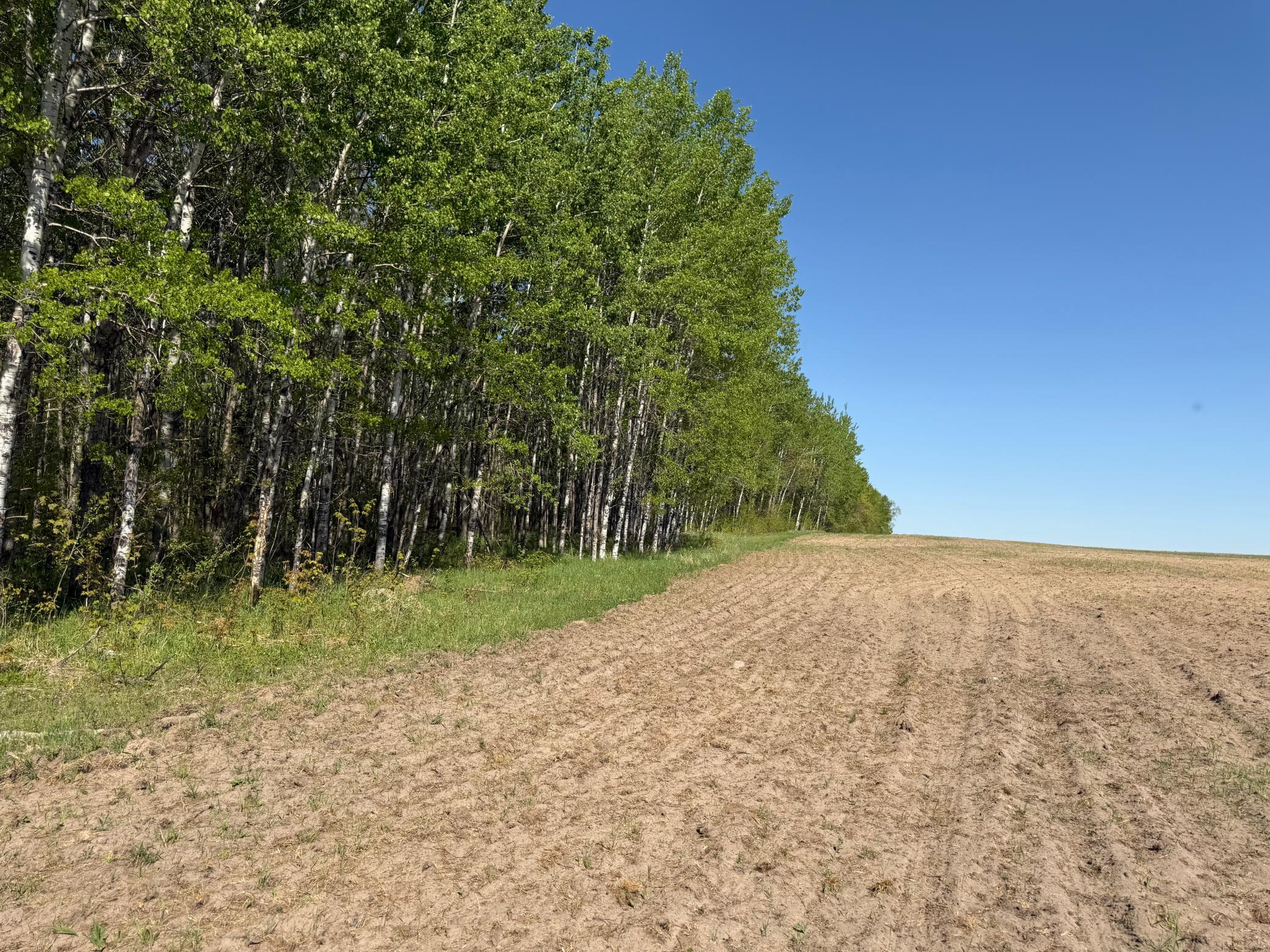 Tbd County Road 14 Property Photo 45