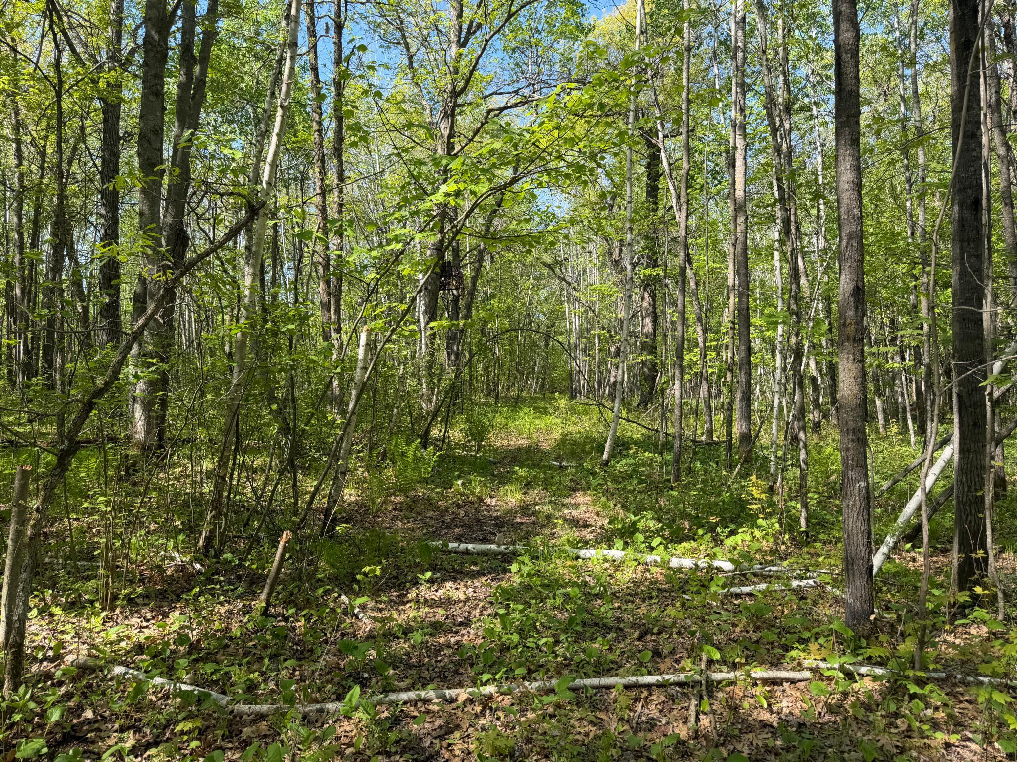 Tbd County Road 14 Property Photo 53