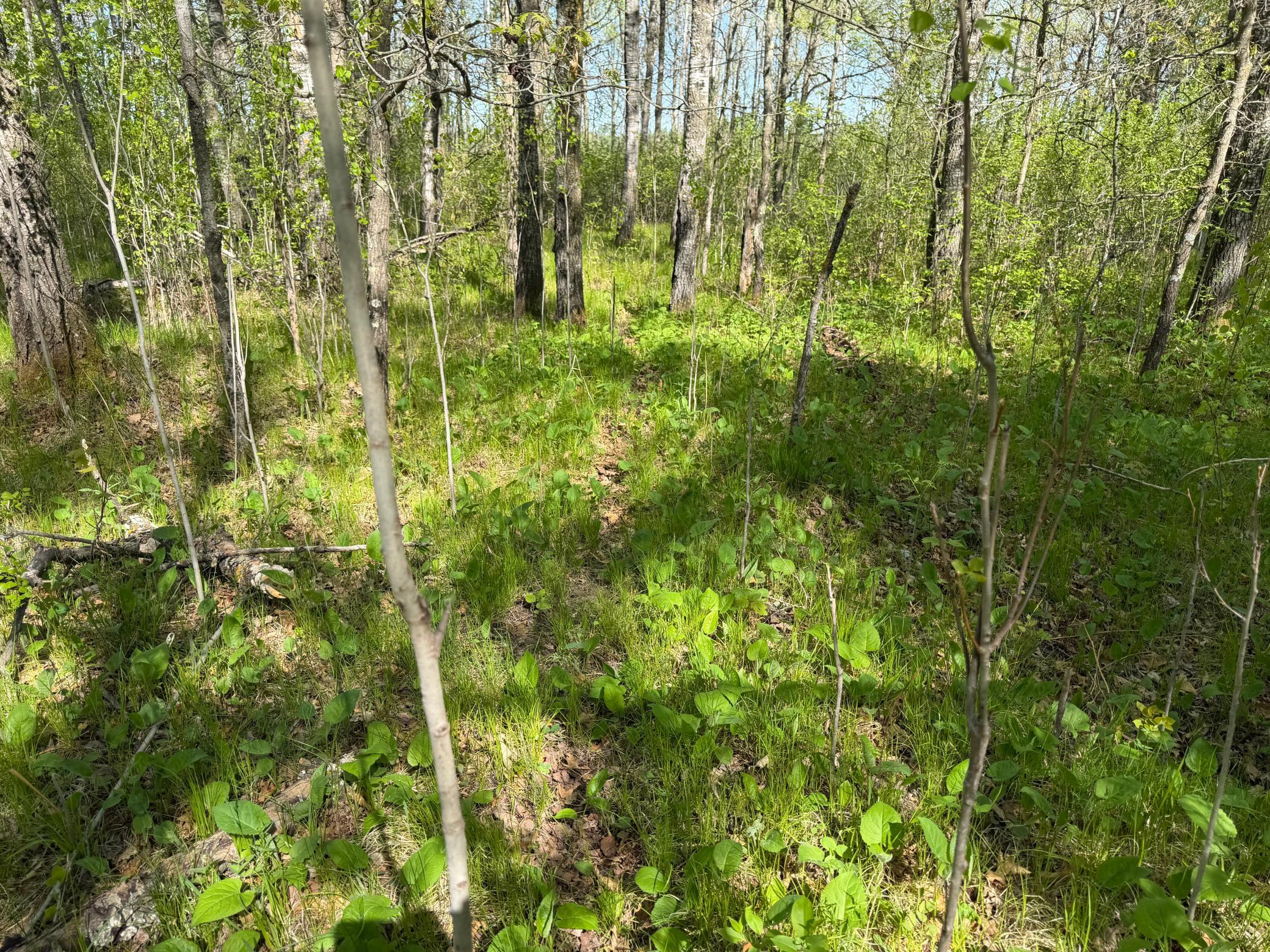 Tbd County Road 14 Property Photo 57