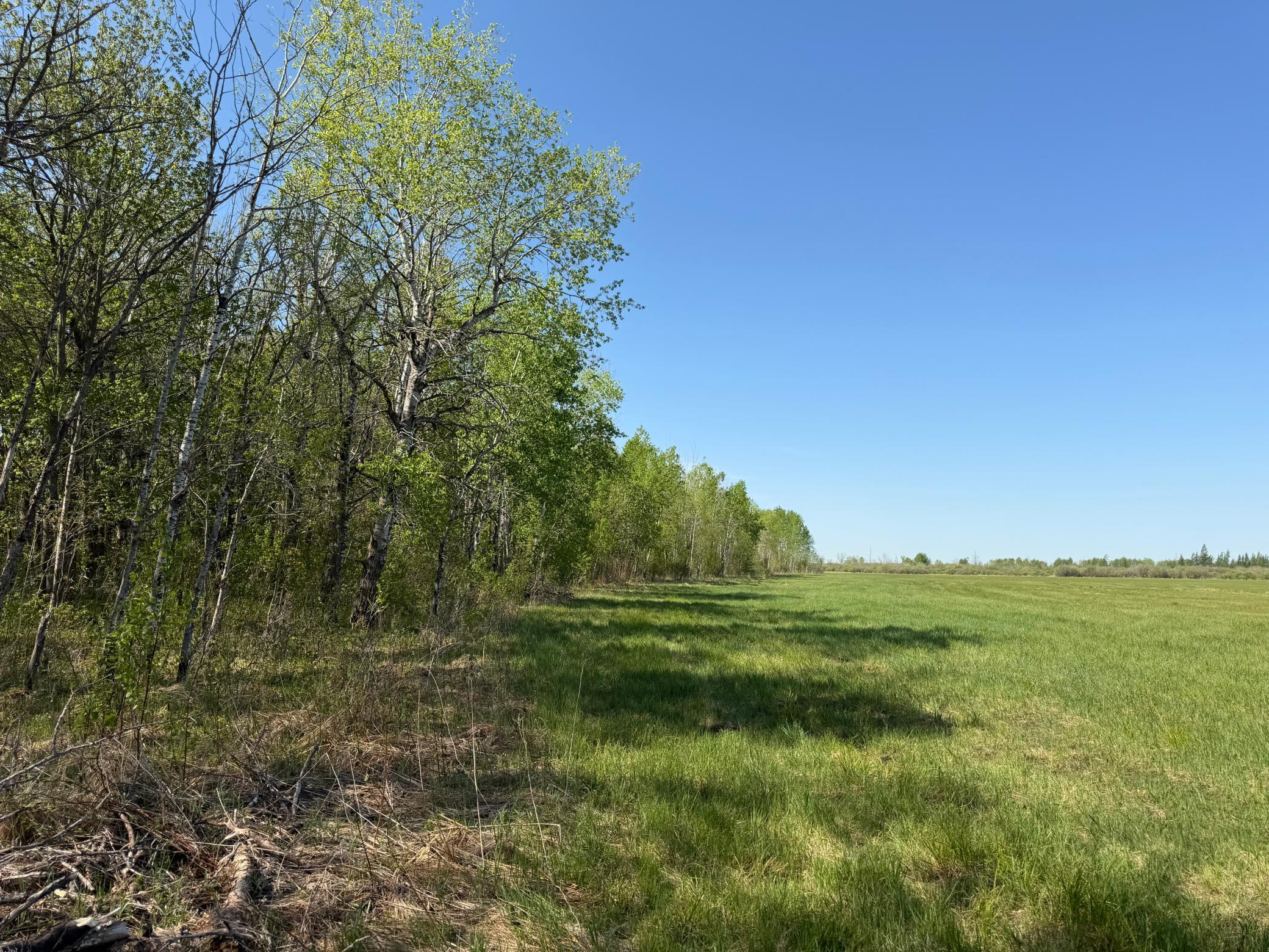 Tbd County Road 14 Property Photo 59