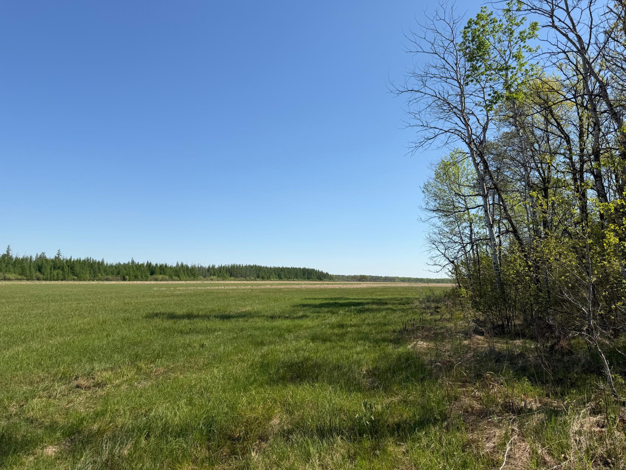 Tbd County Road 14 Property Photo 60