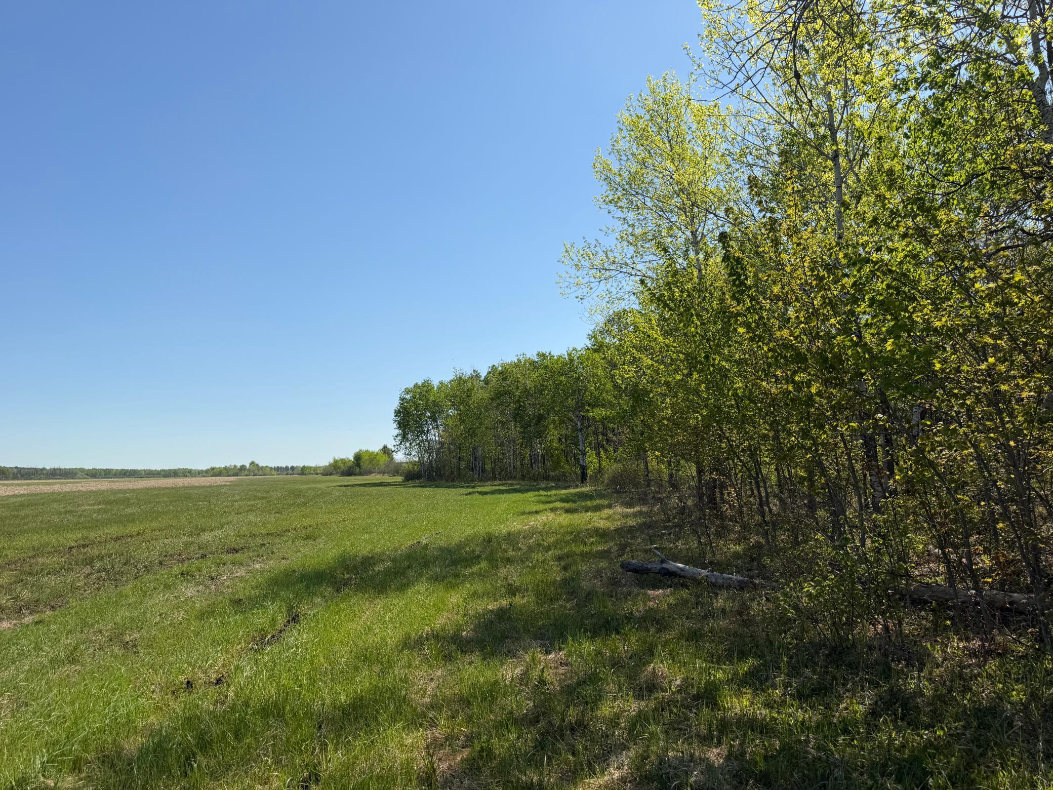 Tbd County Road 14 Property Photo 61