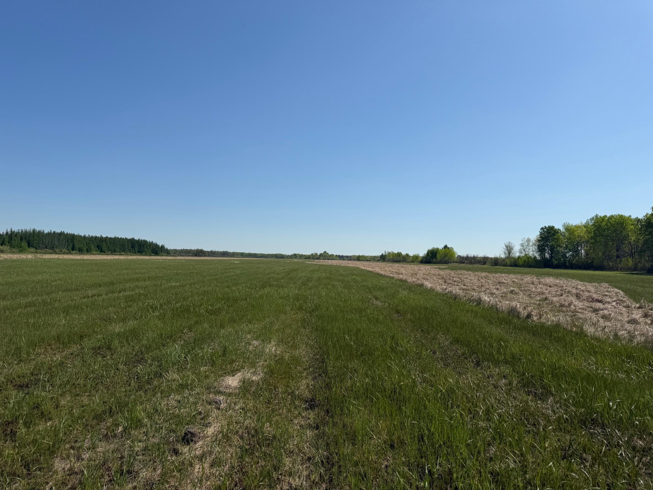 Tbd County Road 14 Property Photo 63