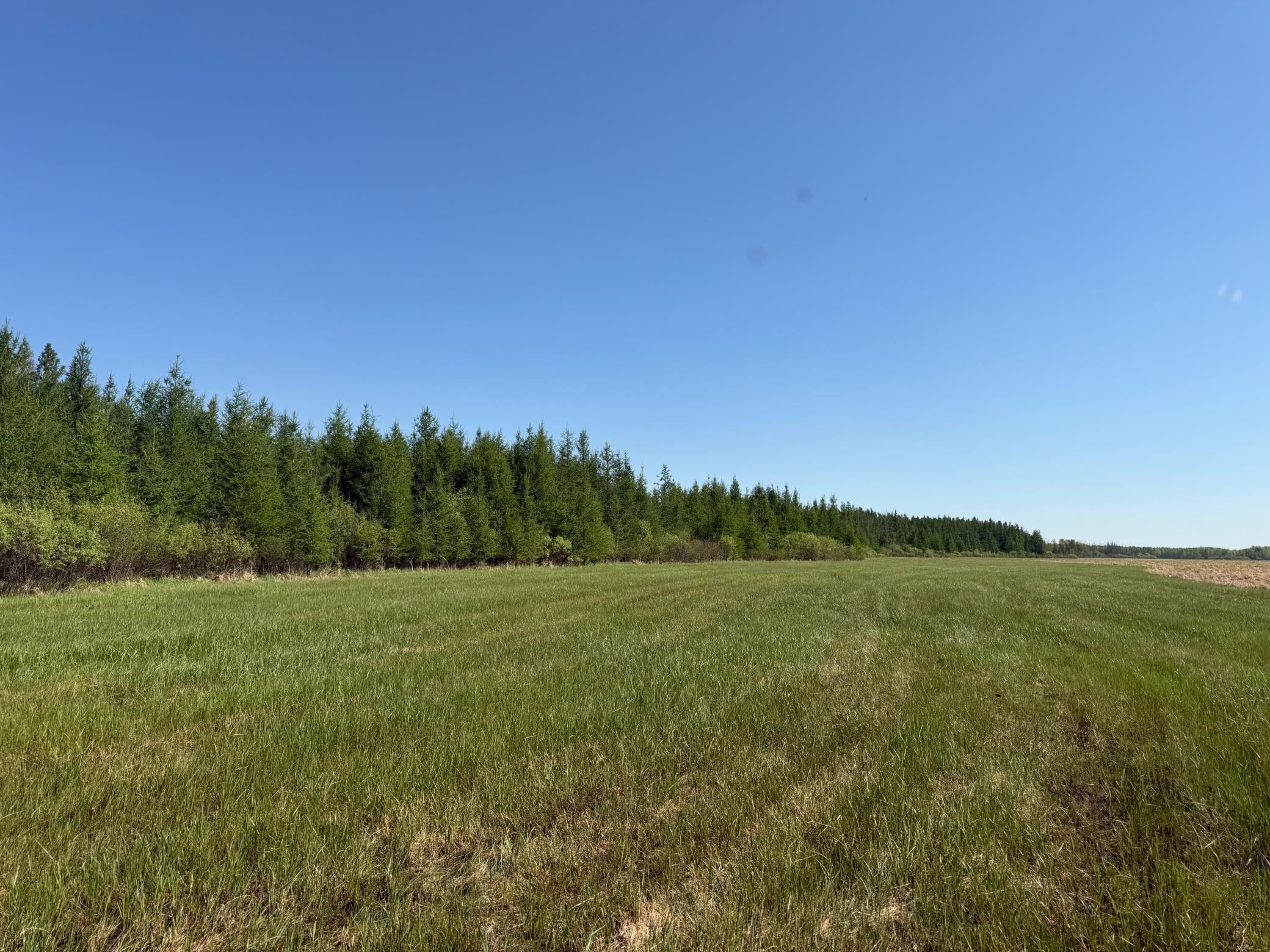 Tbd County Road 14 Property Photo 65
